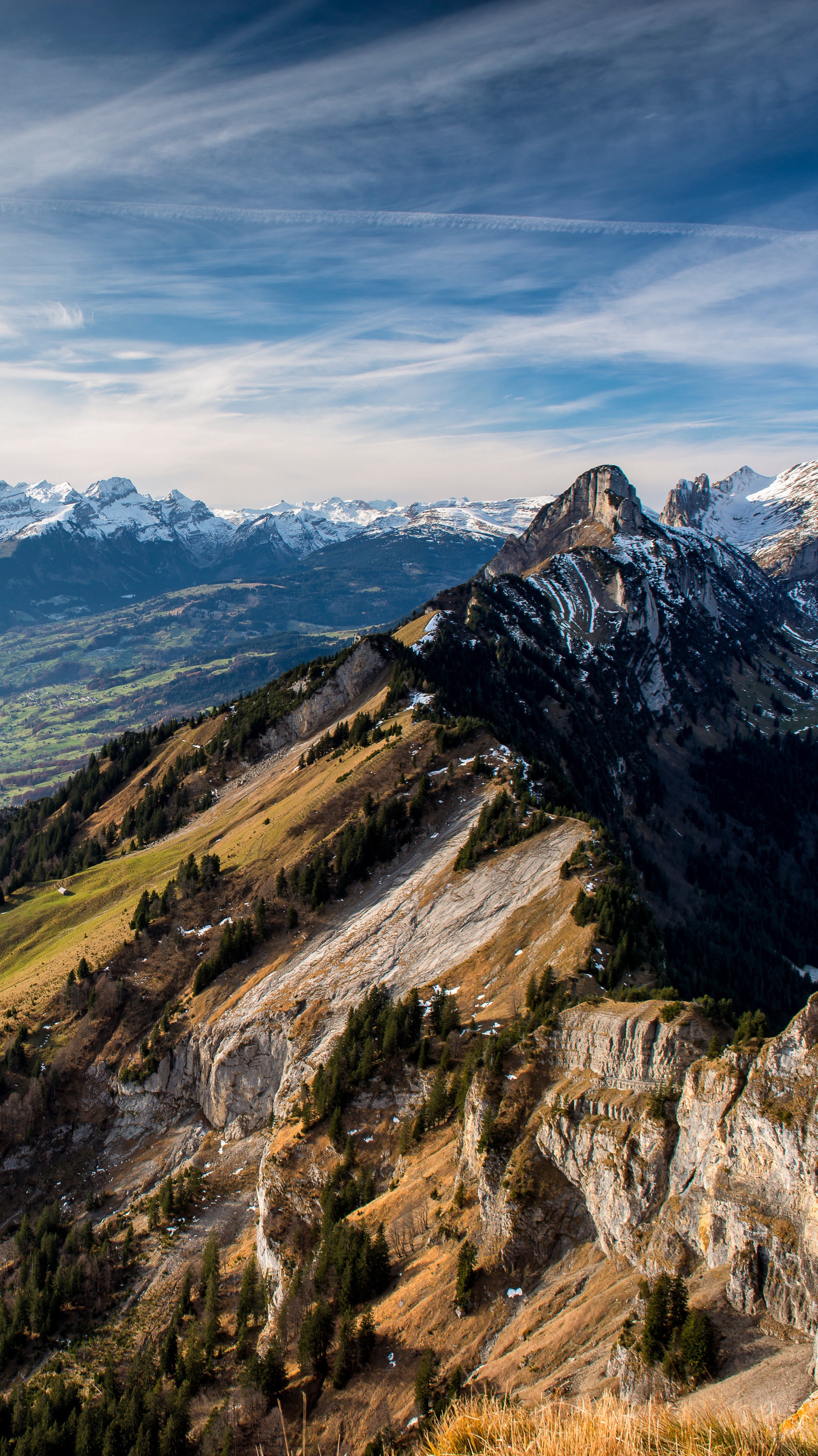 Mountain range with snow-capped peaks and forested slopes HD Phone Wallpaper