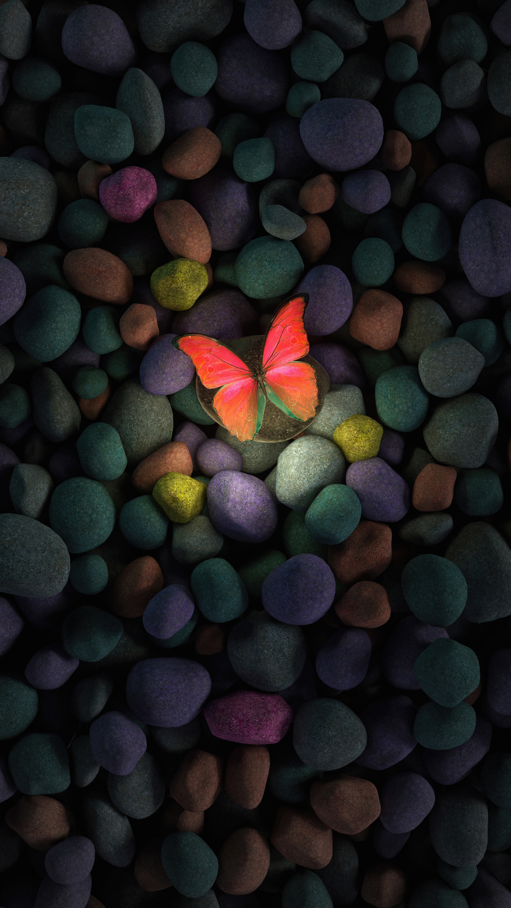 Butterfly on colorful rocks, digital art 4K HD Phone Wallpaper