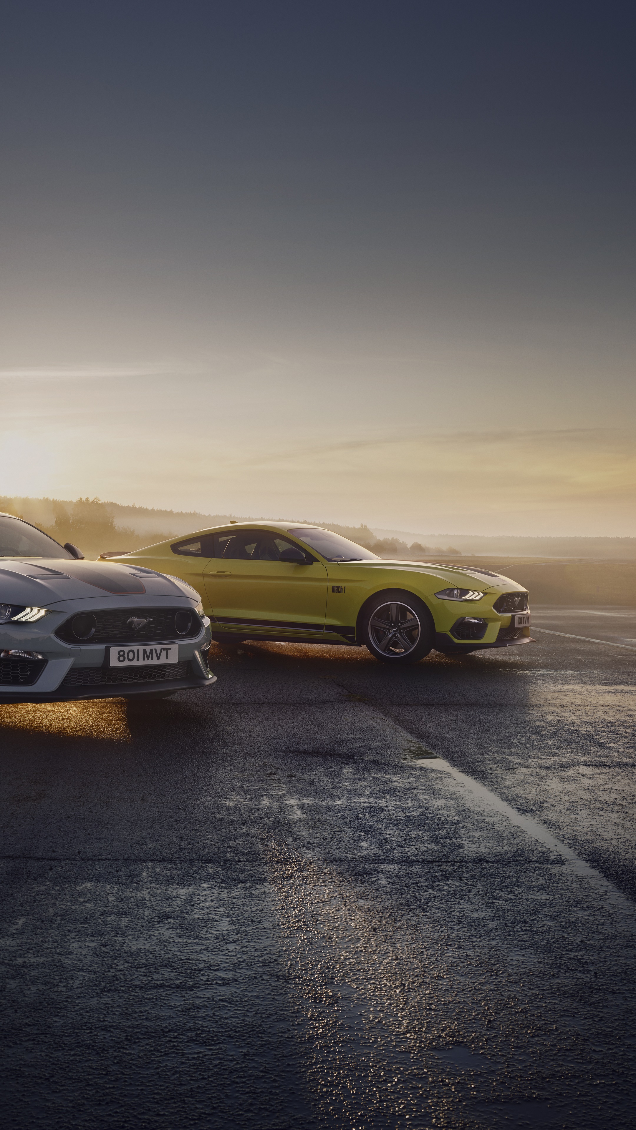 Ford Mustang Mach 1 cars on a road at sunset HD Phone Wallpaper