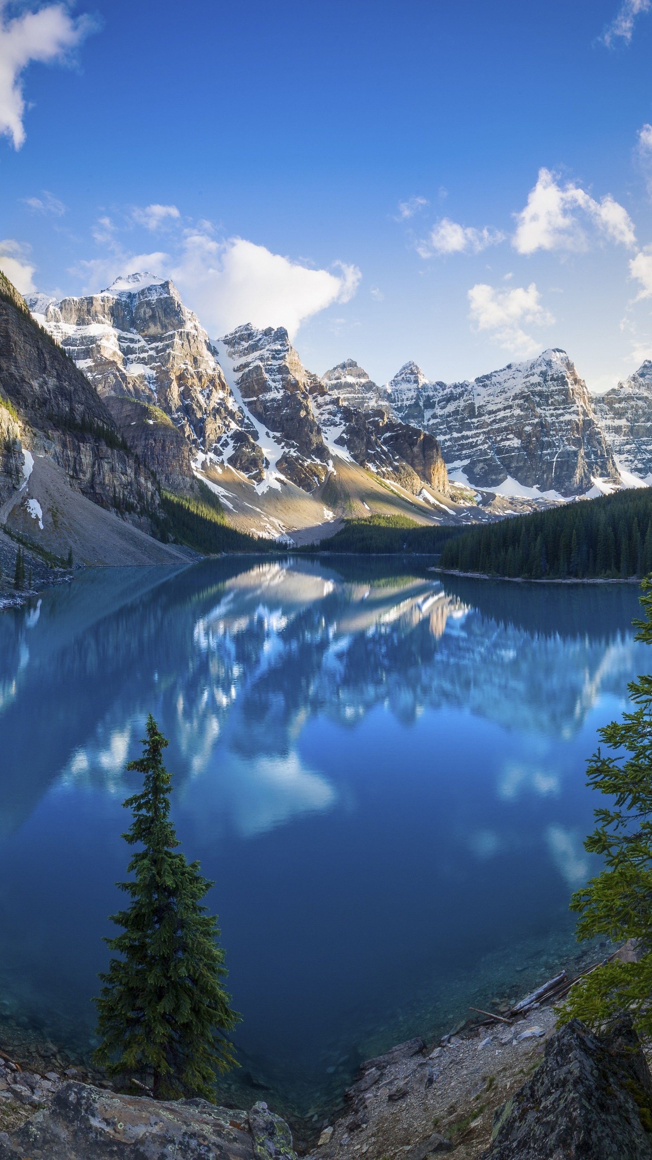 Moraine Lake with snow-capped mountains and pine trees HD Phone Wallpaper