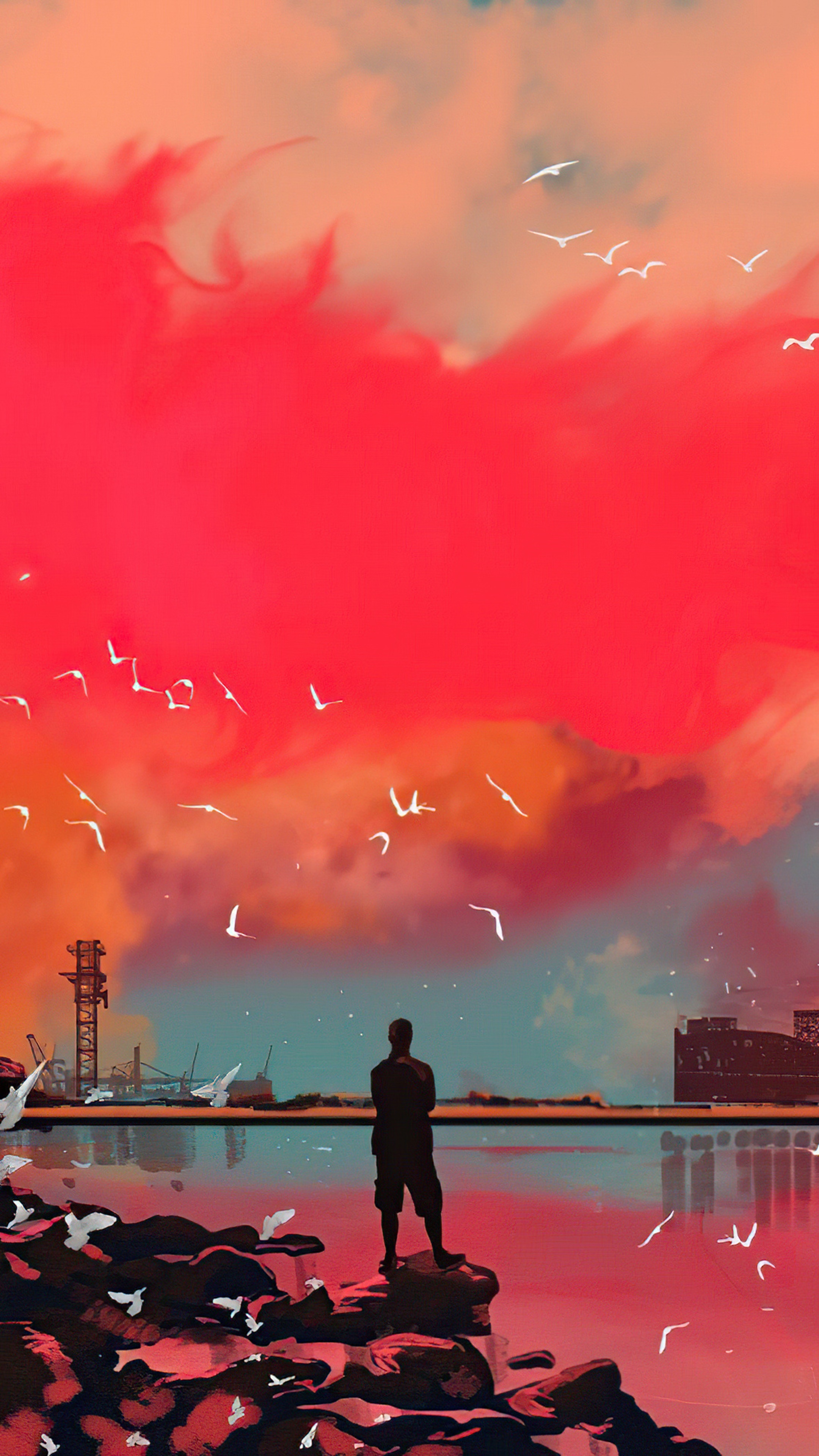 Man standing on rocks watching birds fly at sunset HD Phone Wallpaper