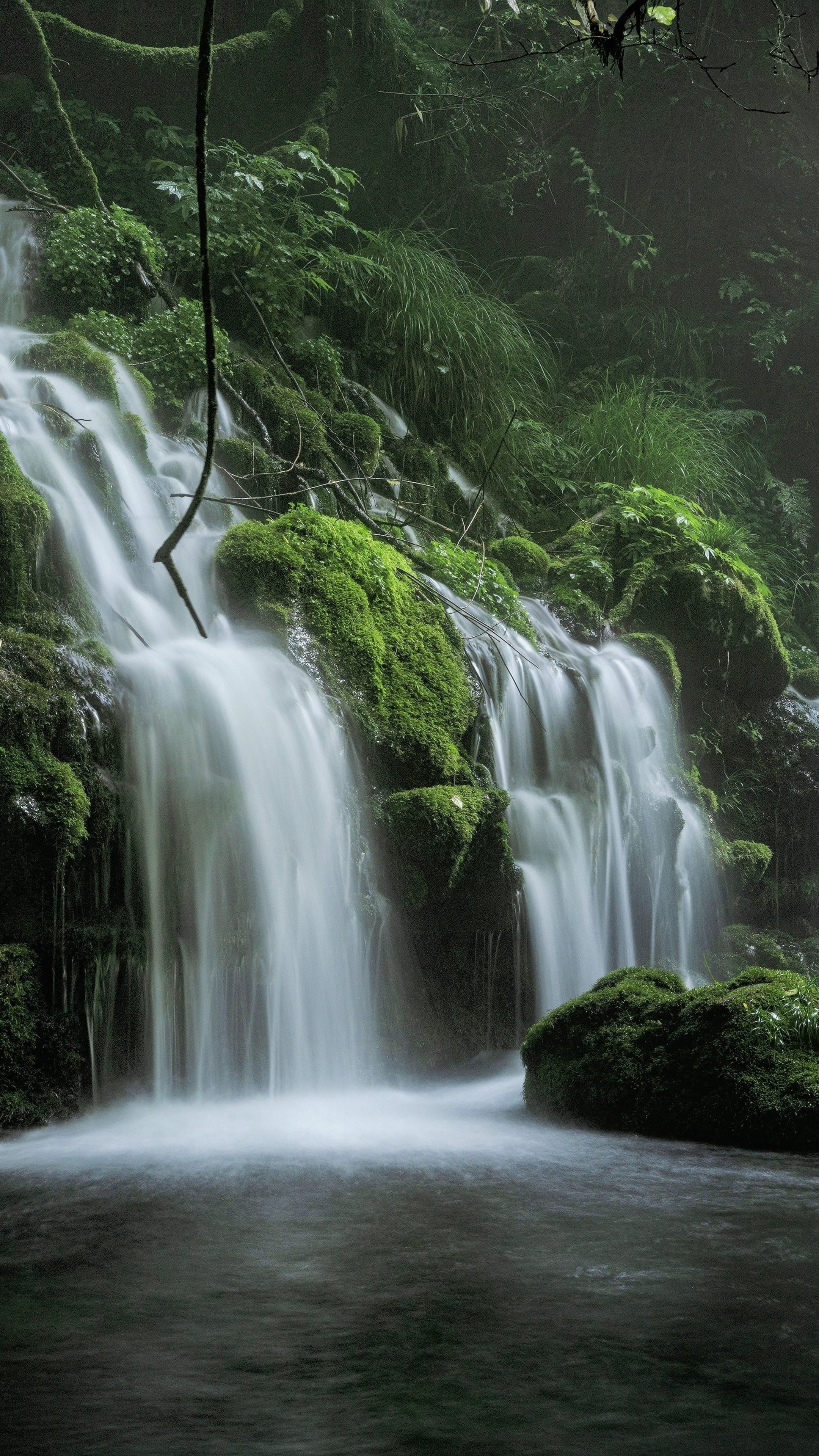 Waterfall in a mossy forest HD Phone Wallpaper