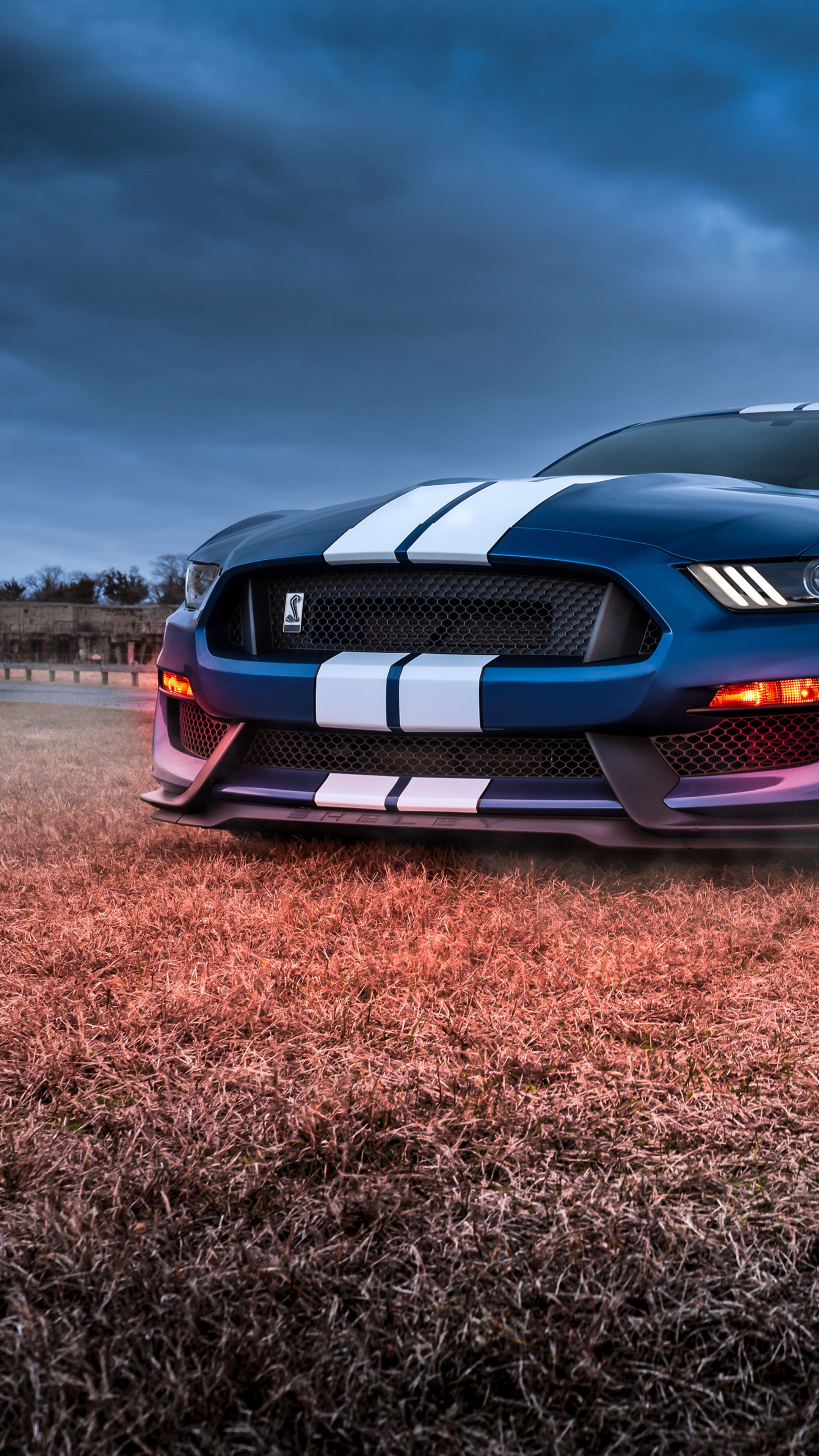 Blue Ford Mustang Shelby GT350 4K HD Phone Wallpaper