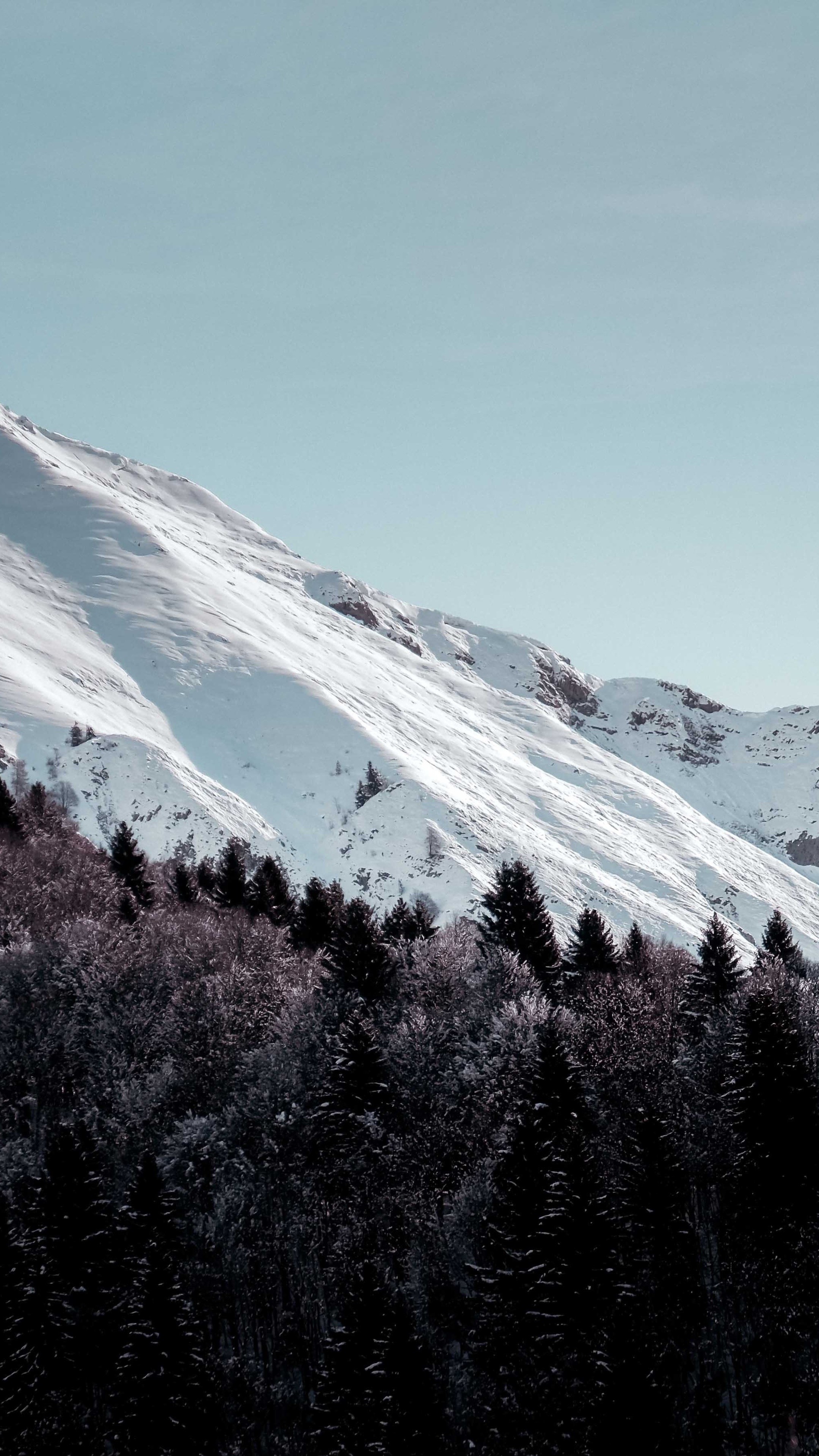 Snowy mountains and dark forest landscape 4K HD Phone Wallpaper