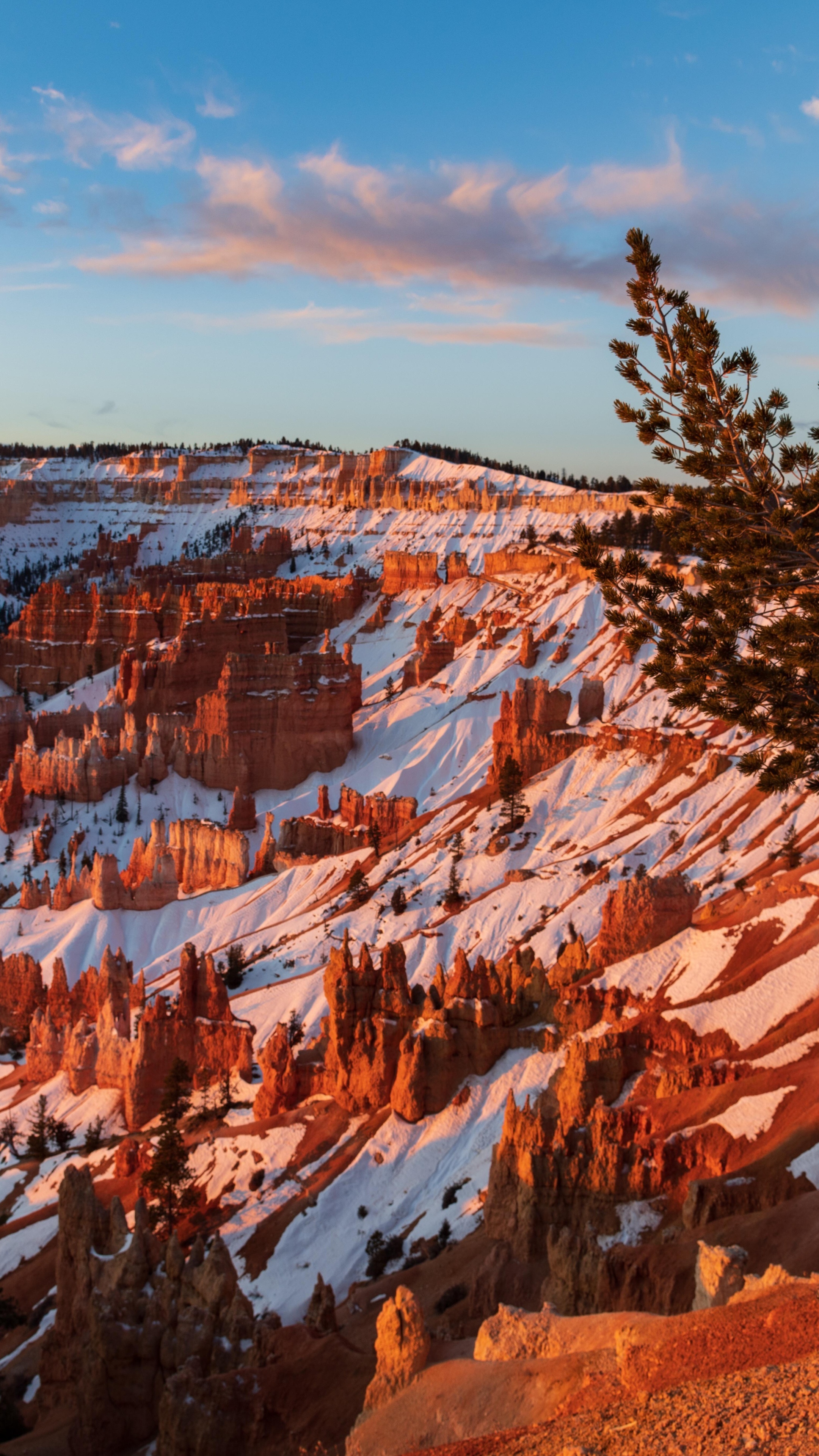 Bryce Canyon National Park in winter HD Phone Wallpaper