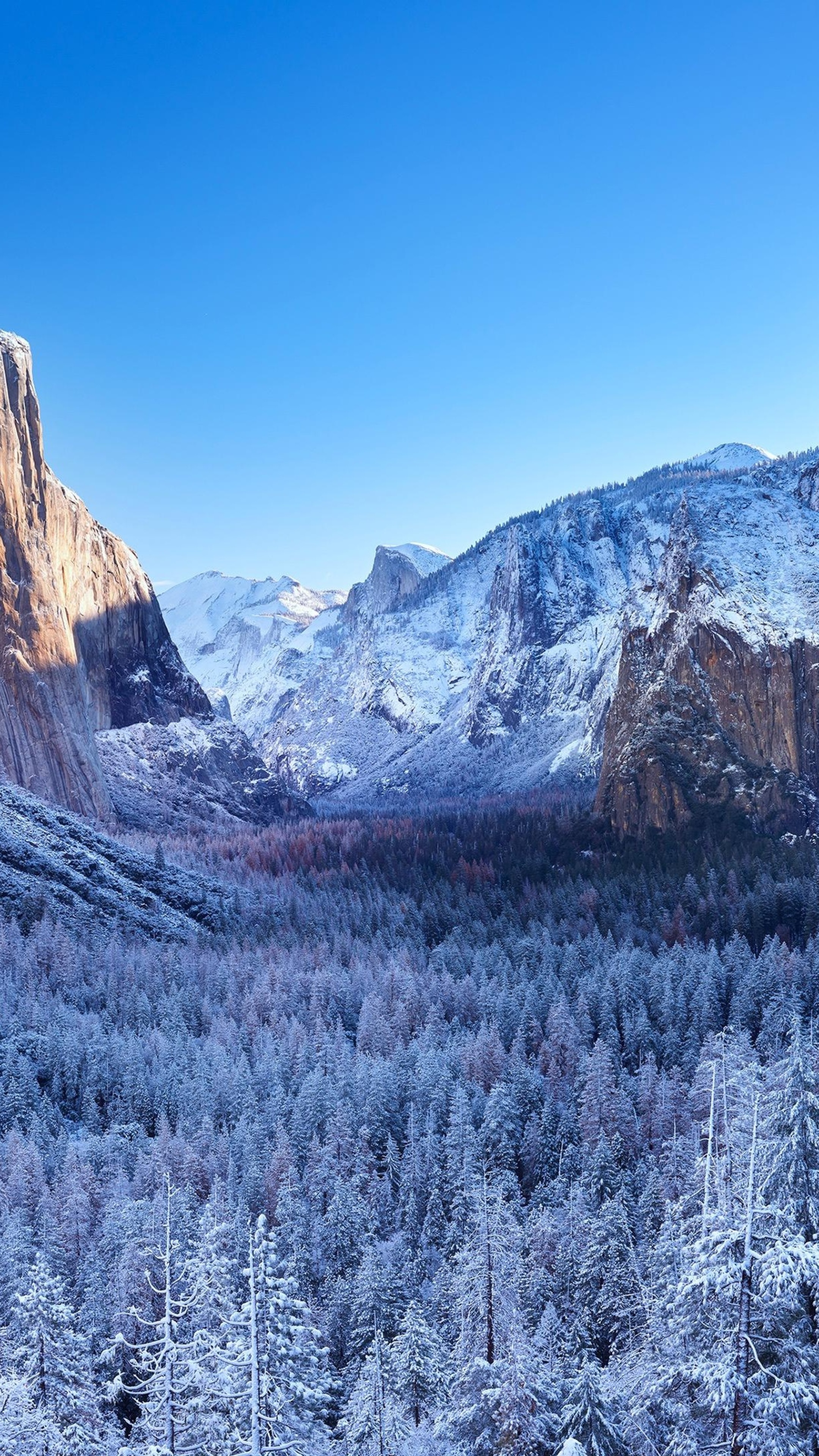 Yosemite Valley mountains in winter 4K HD Phone Wallpaper
