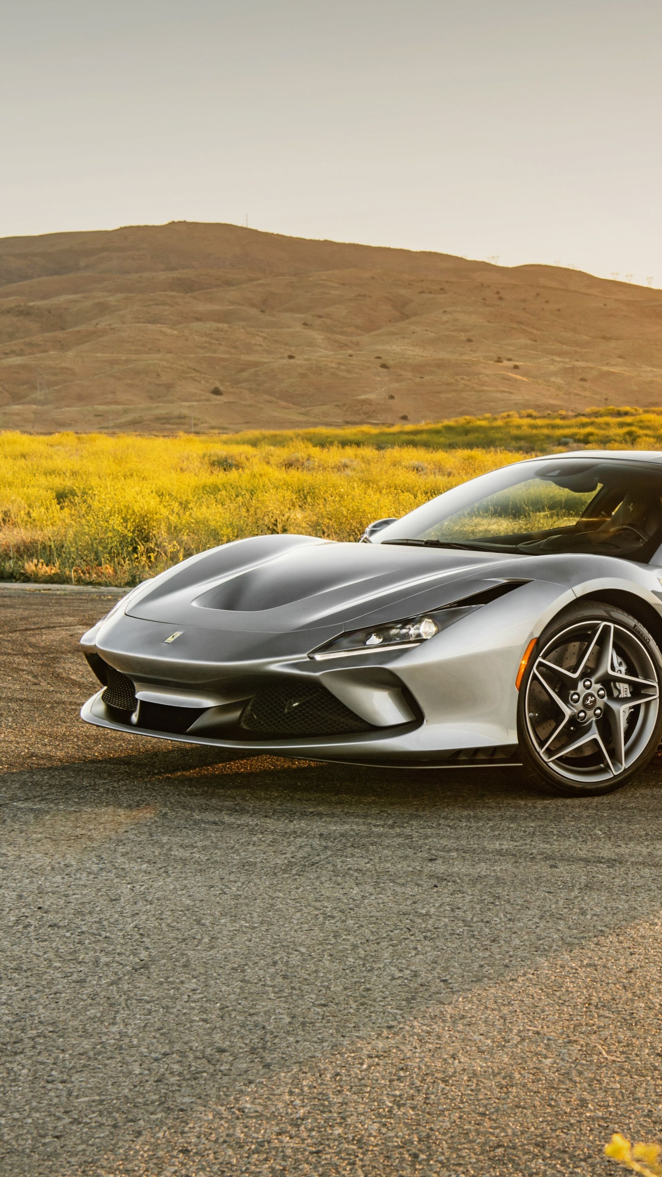 Silver Ferrari F8 Tributo parked on a road with yellow flowers HD Phone Wallpaper