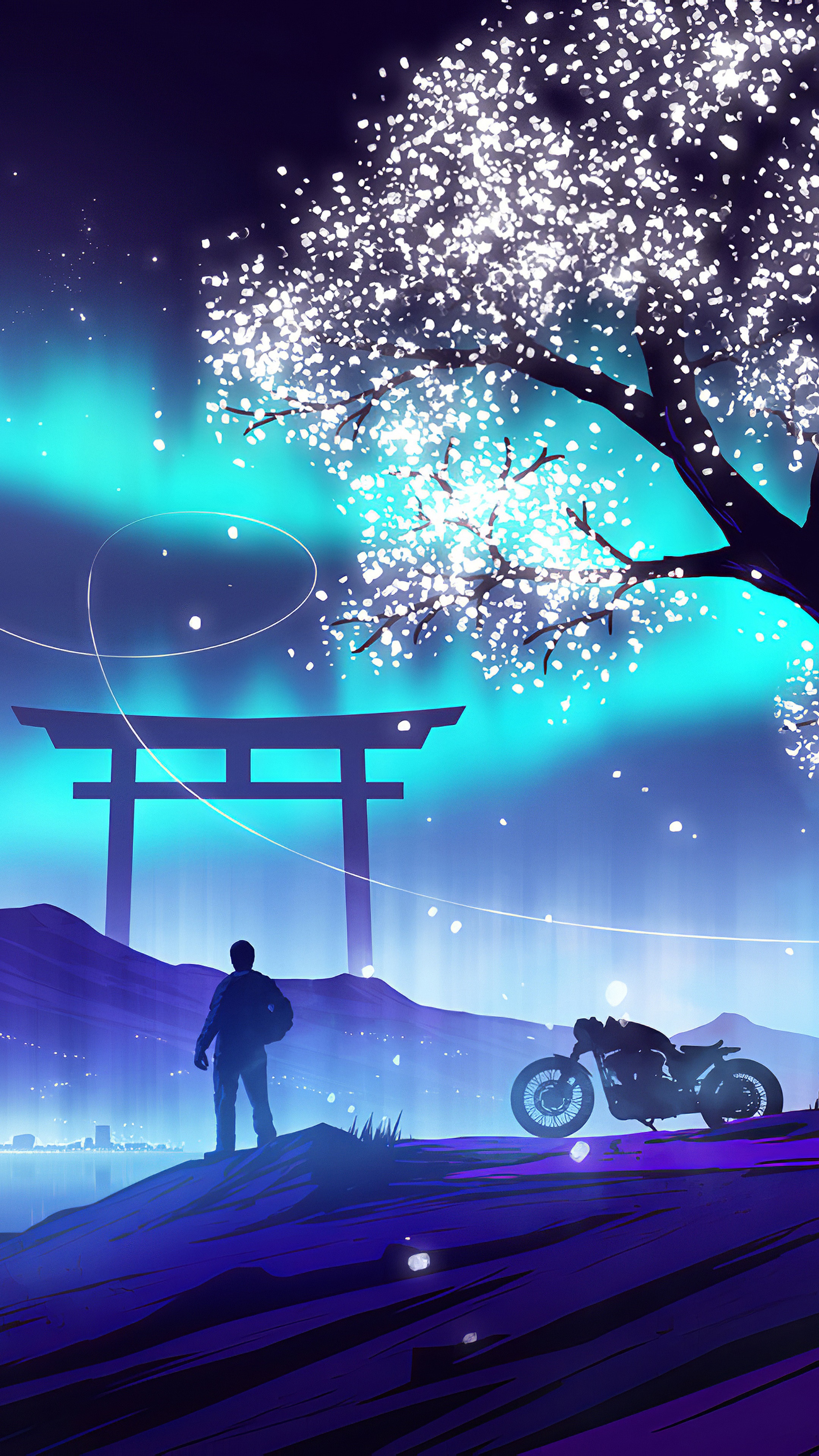 Biker and Torii Gate under Aurora HD Phone Wallpaper