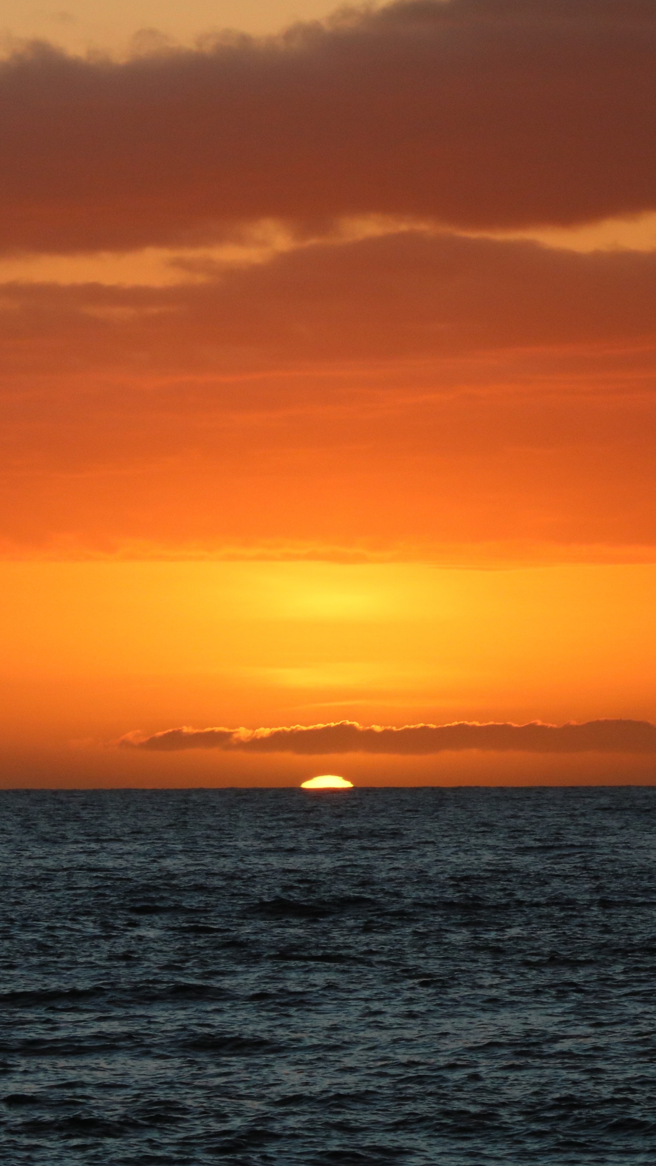 Sunset over the ocean with orange clouds HD Phone Wallpaper