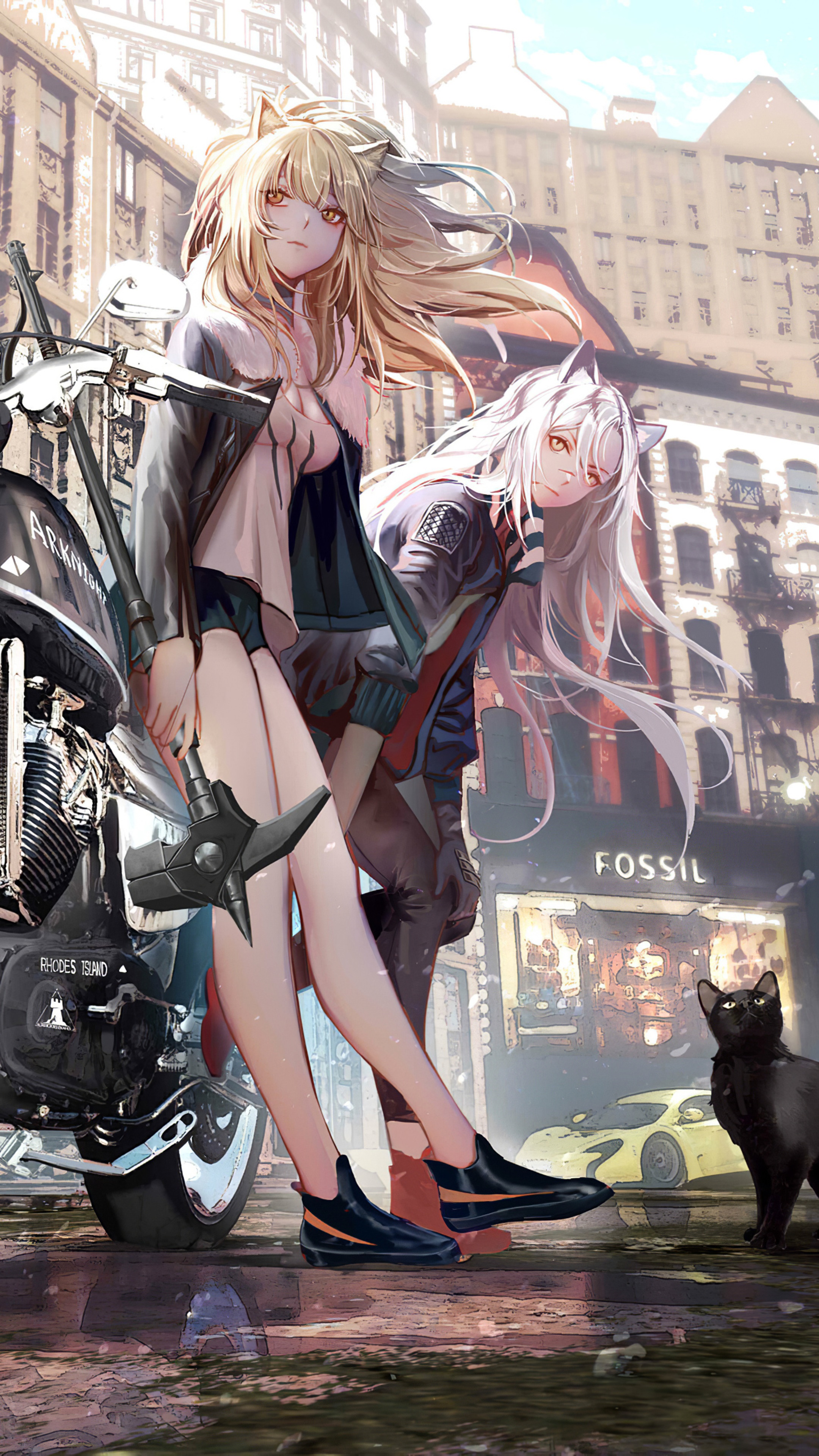Anime girls with cat ears and a motorcycle in a city HD Phone Wallpaper
