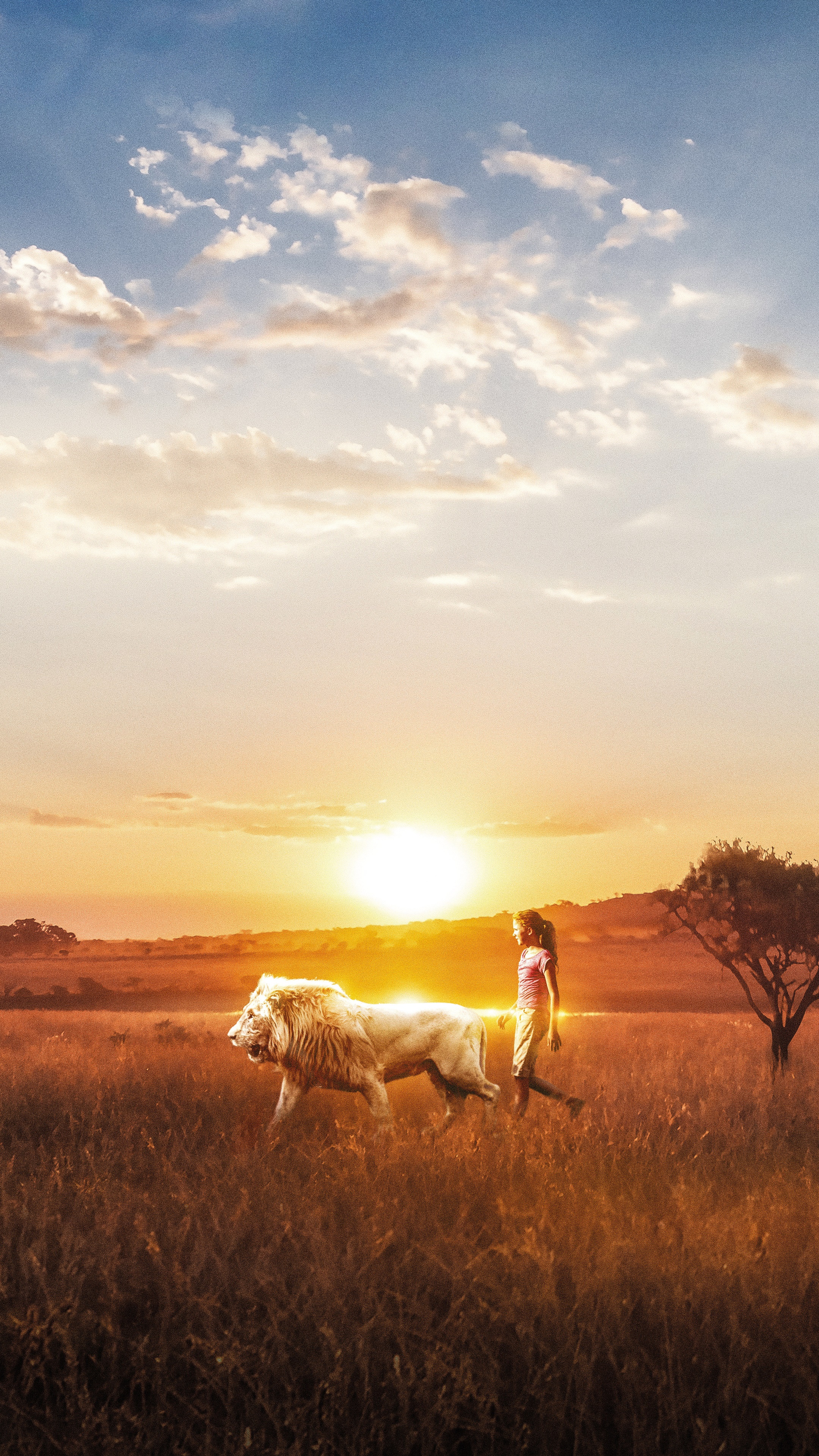 Girl and lion walking at sunset HD Phone Wallpaper