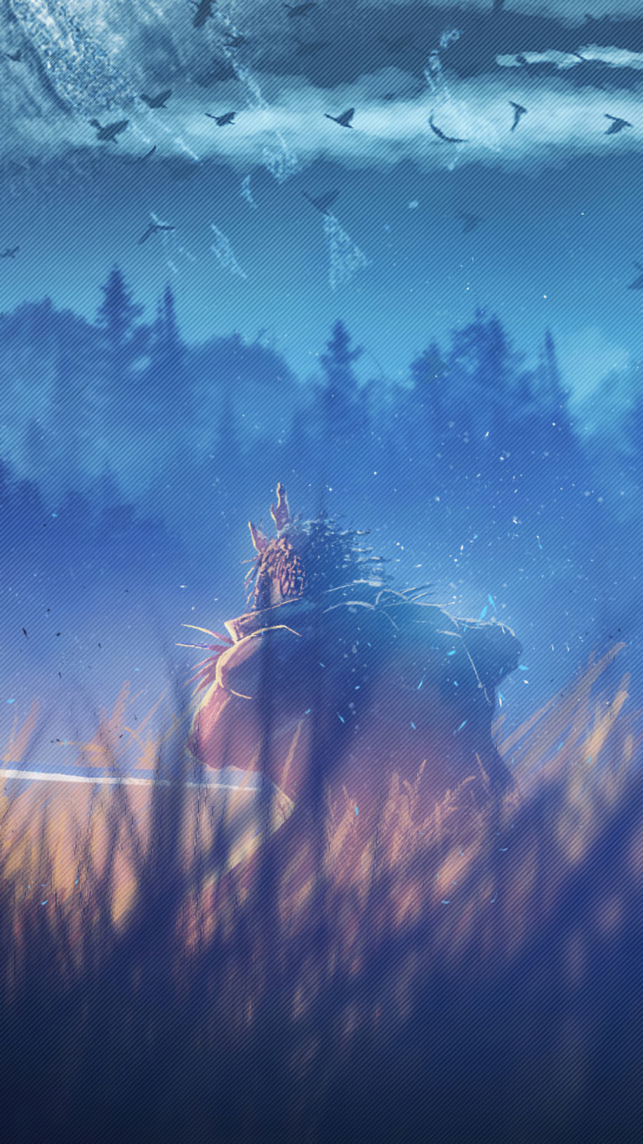 Samurai warrior in a field with birds flying HD Phone Wallpaper