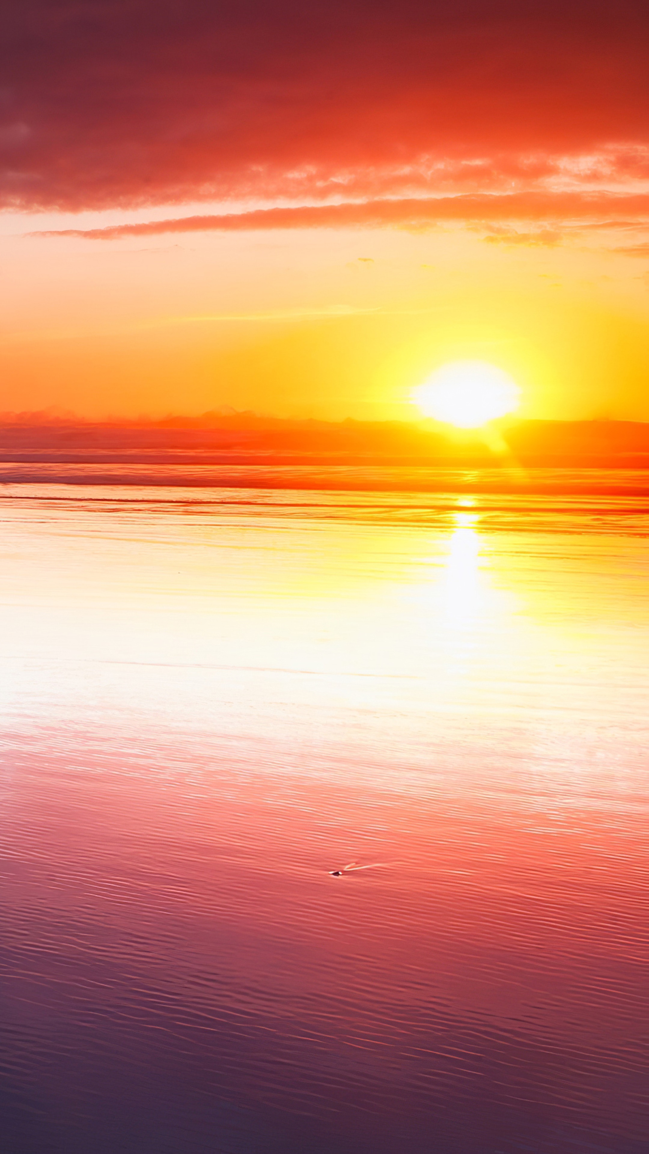 Sunset over the ocean with reflection HD Phone Wallpaper