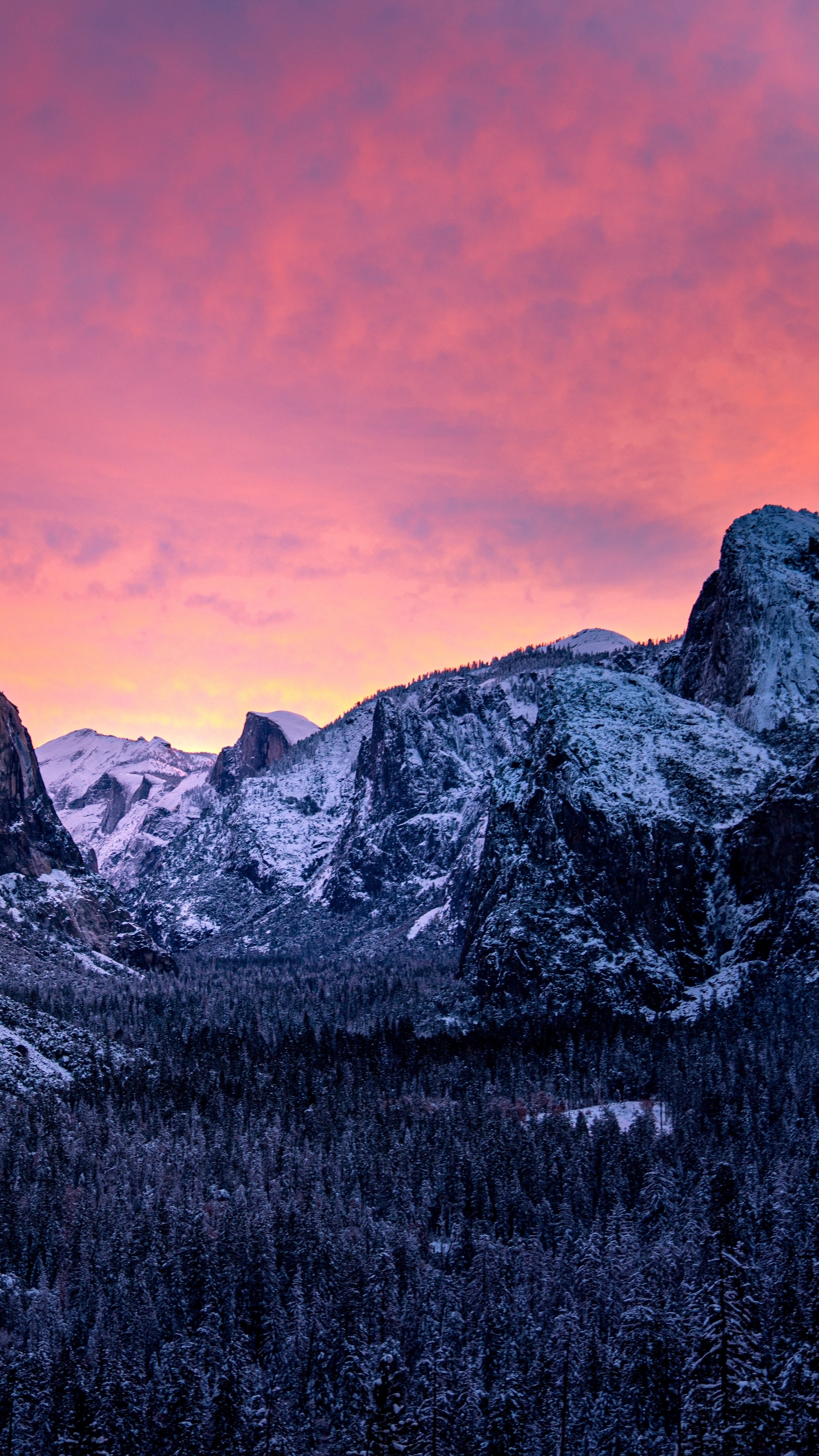Snowy mountains and forest at sunset in Yosemite HD Phone Wallpaper