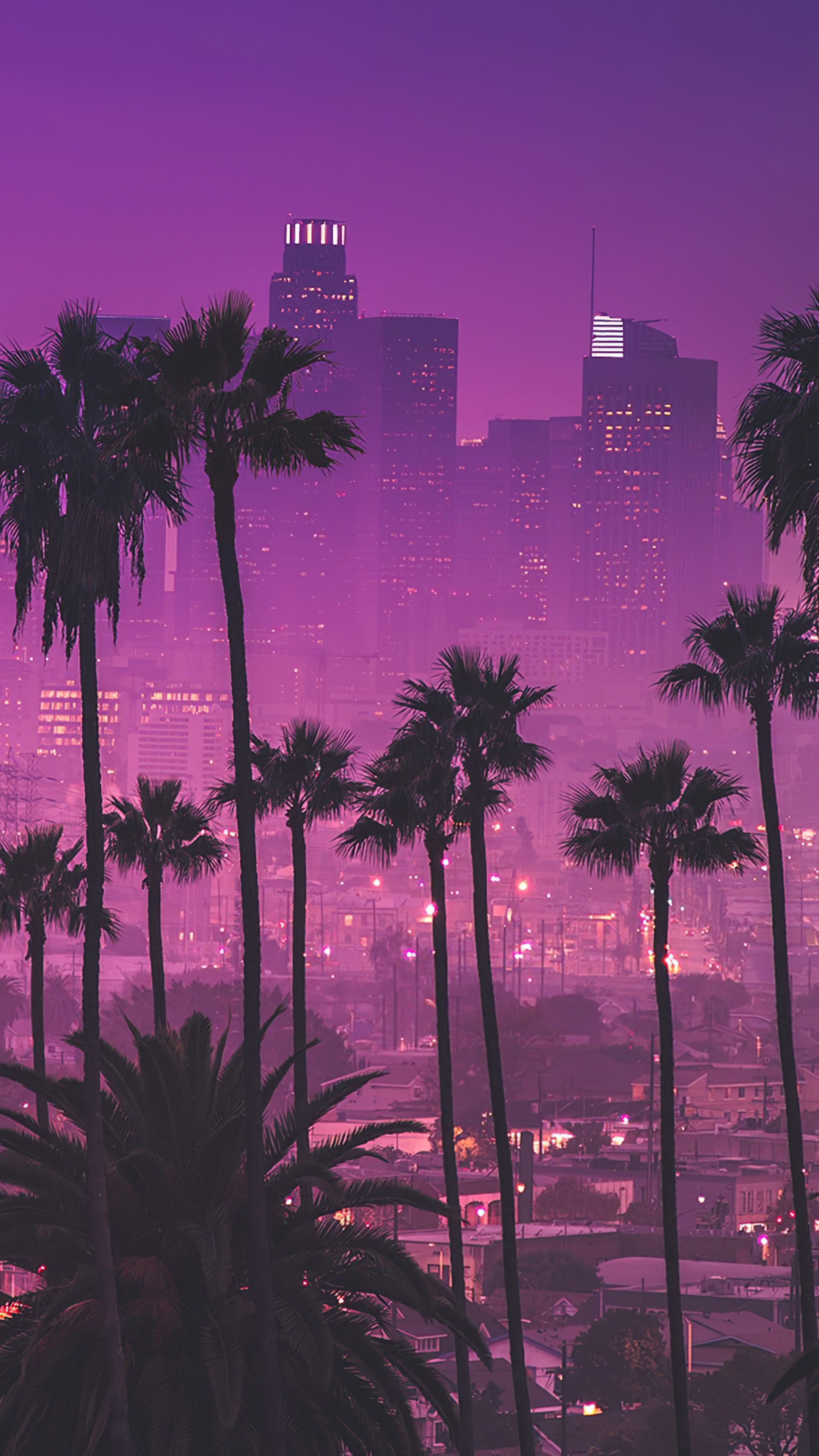 Los Angeles skyline with palm trees at night HD Phone Wallpaper