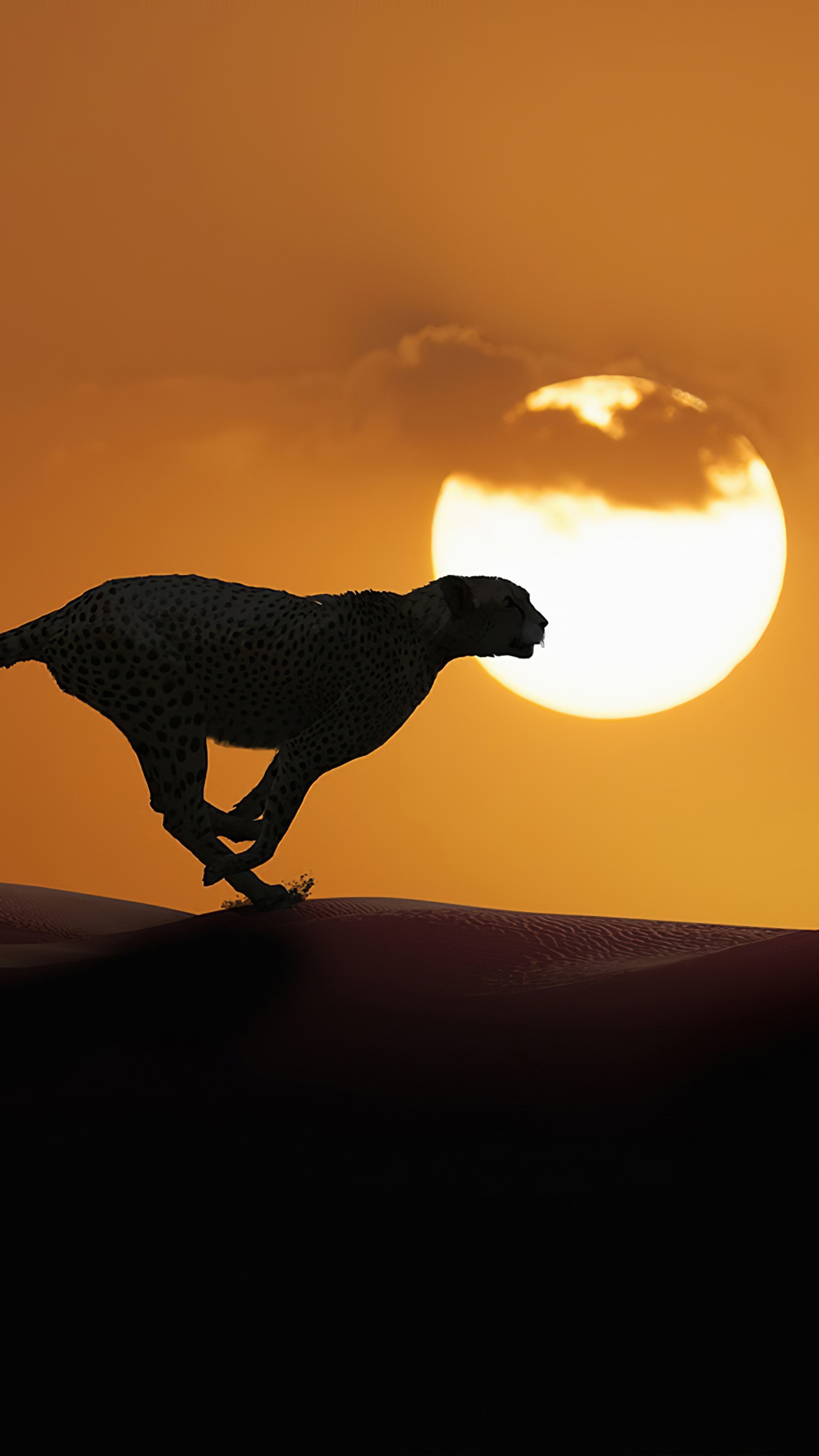 Cheetah running across desert dunes at sunset 4K HD Phone Wallpaper