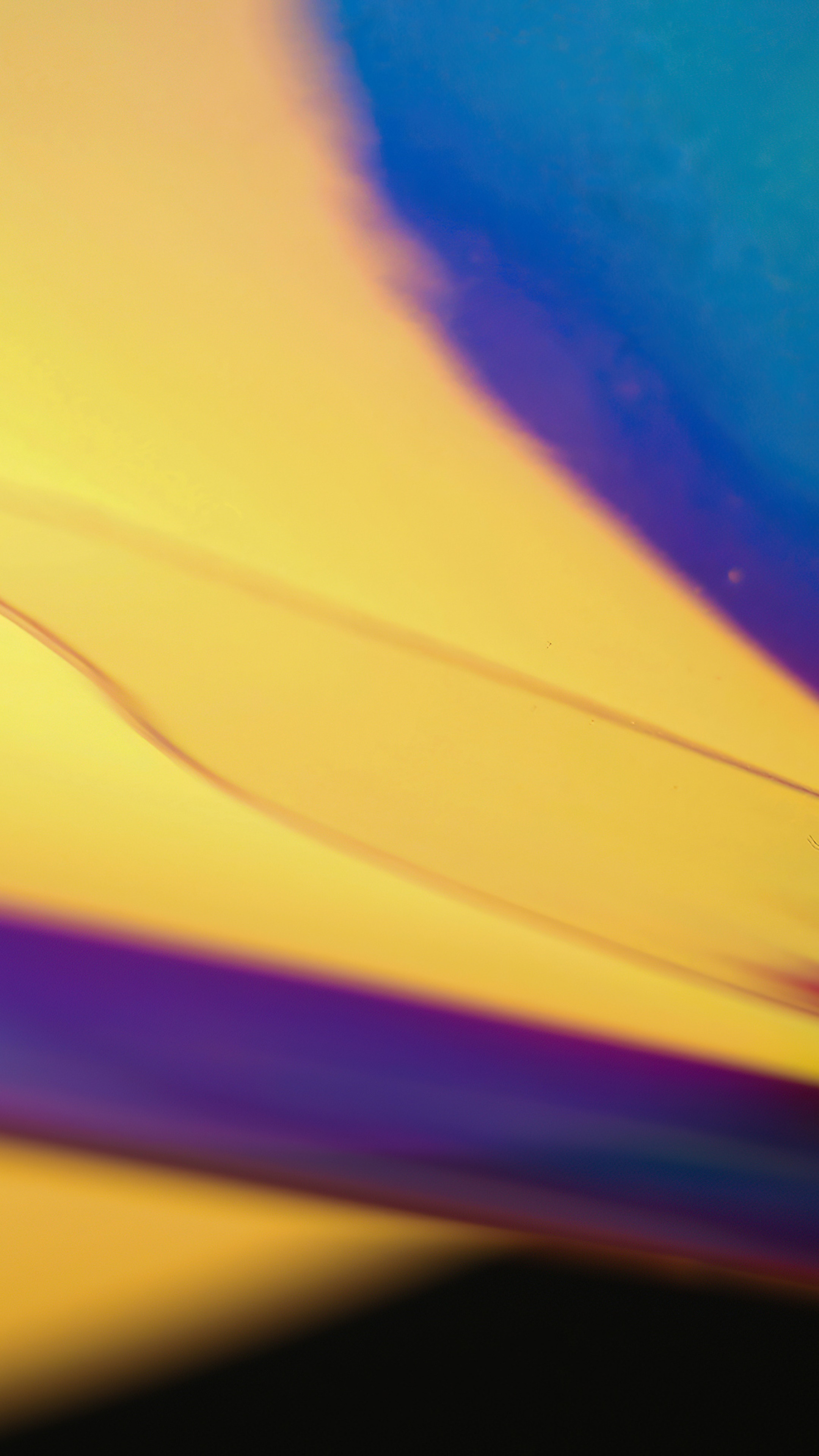Abstract yellow and blue light patterns 4K HD Phone Wallpaper