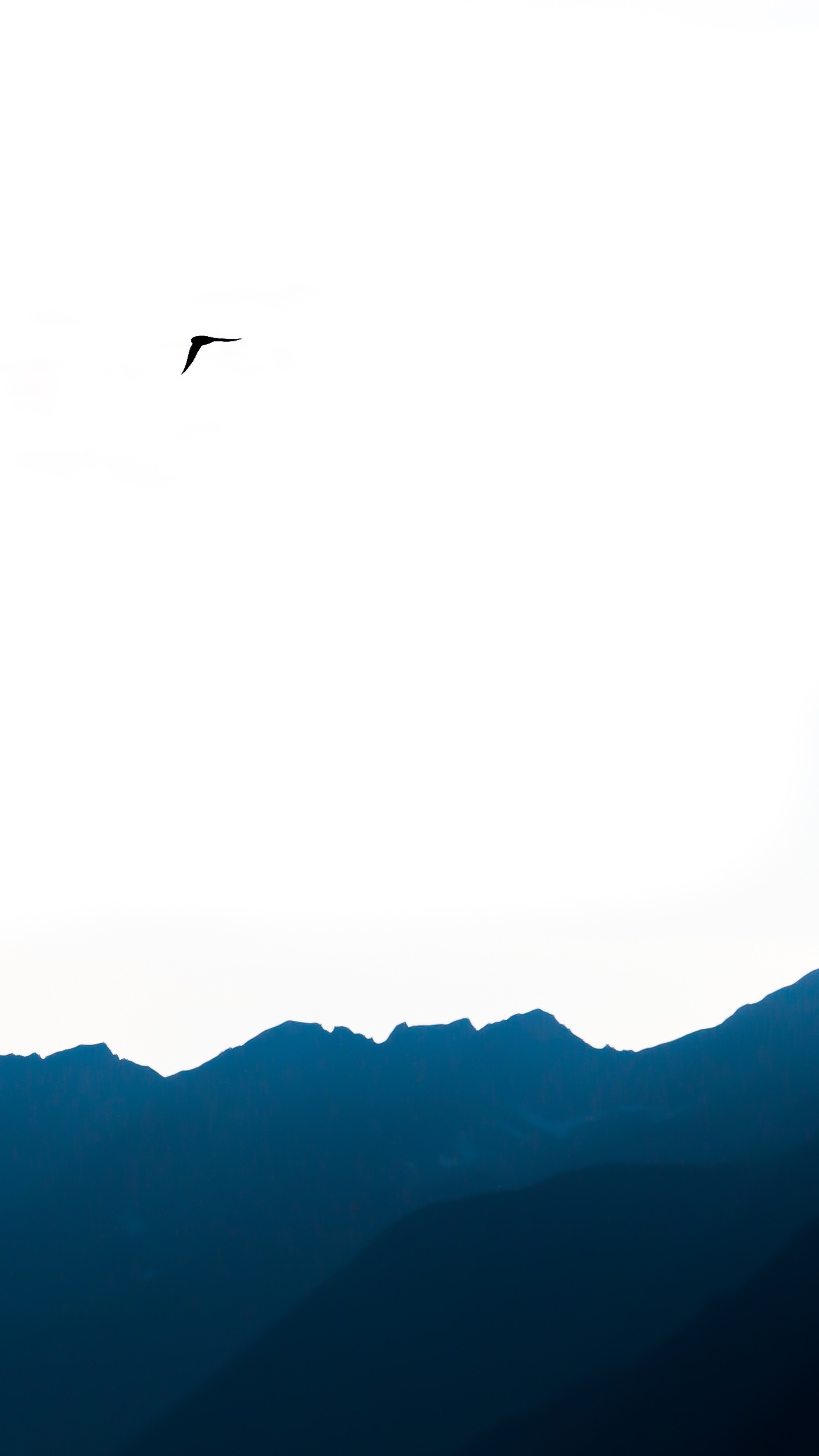 Silhouette of a bird flying over mountains HD Phone Wallpaper