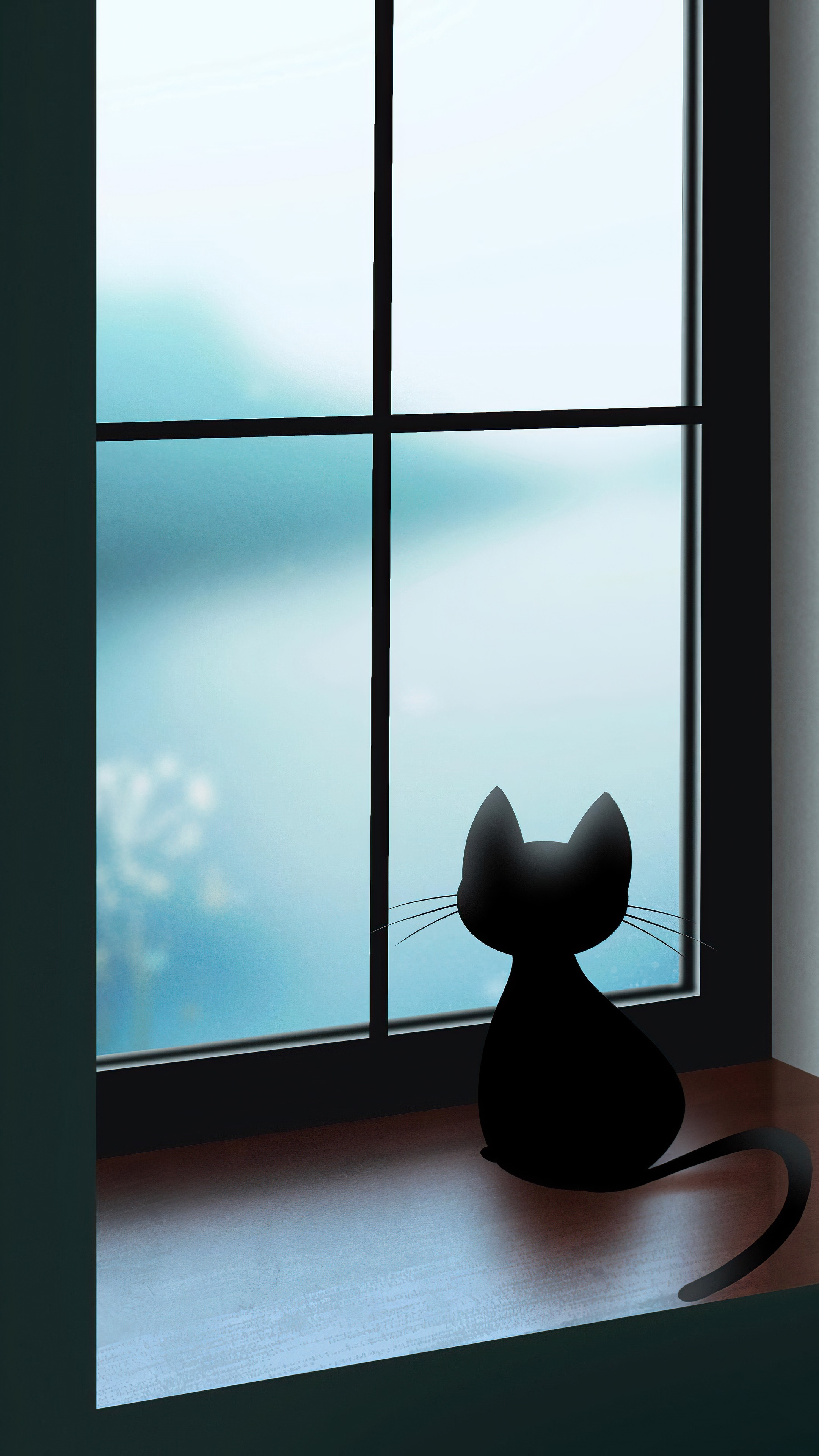 Black cat looking out a window HD Phone Wallpaper