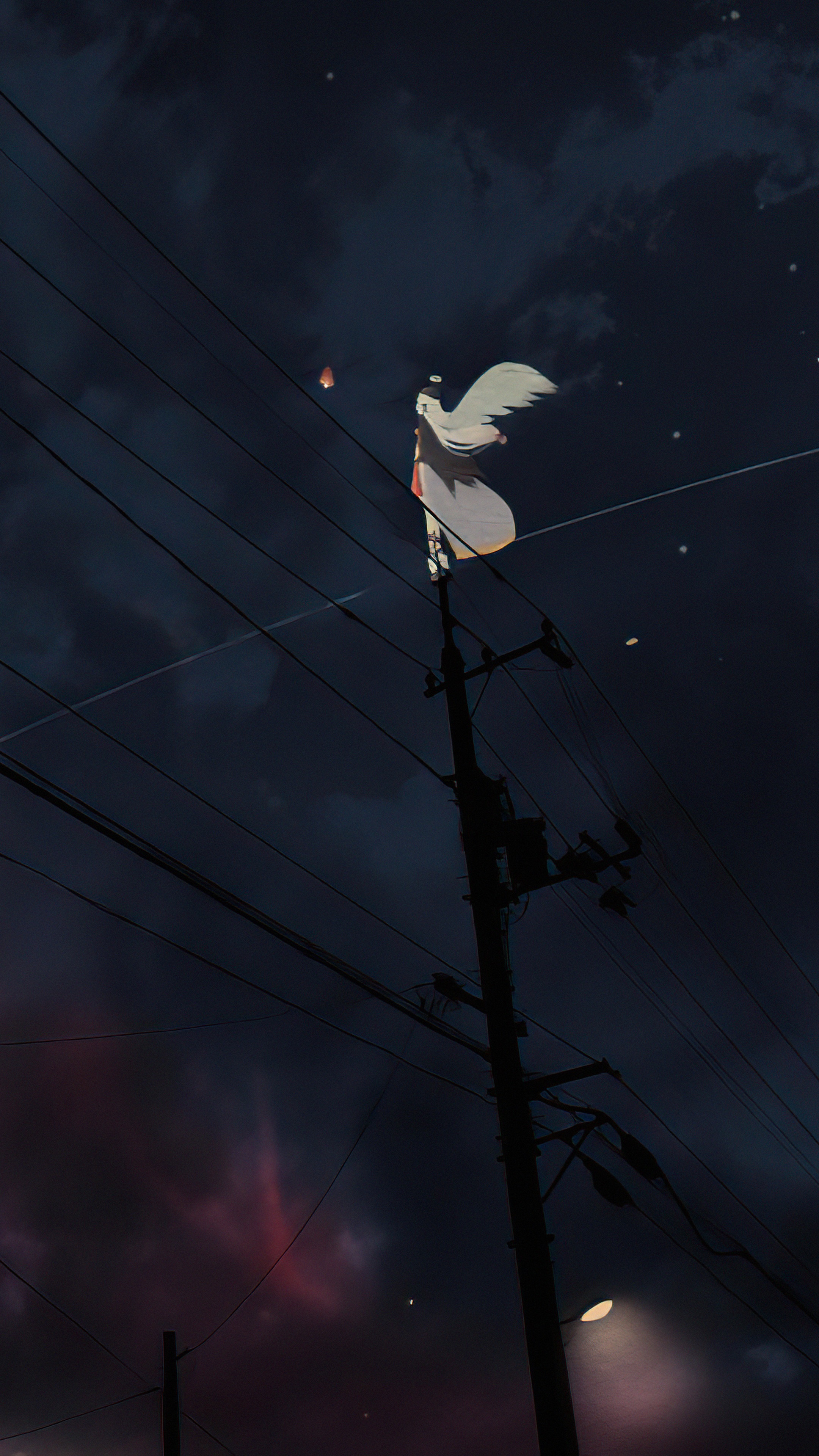 Girl on power line at night HD Phone Wallpaper
