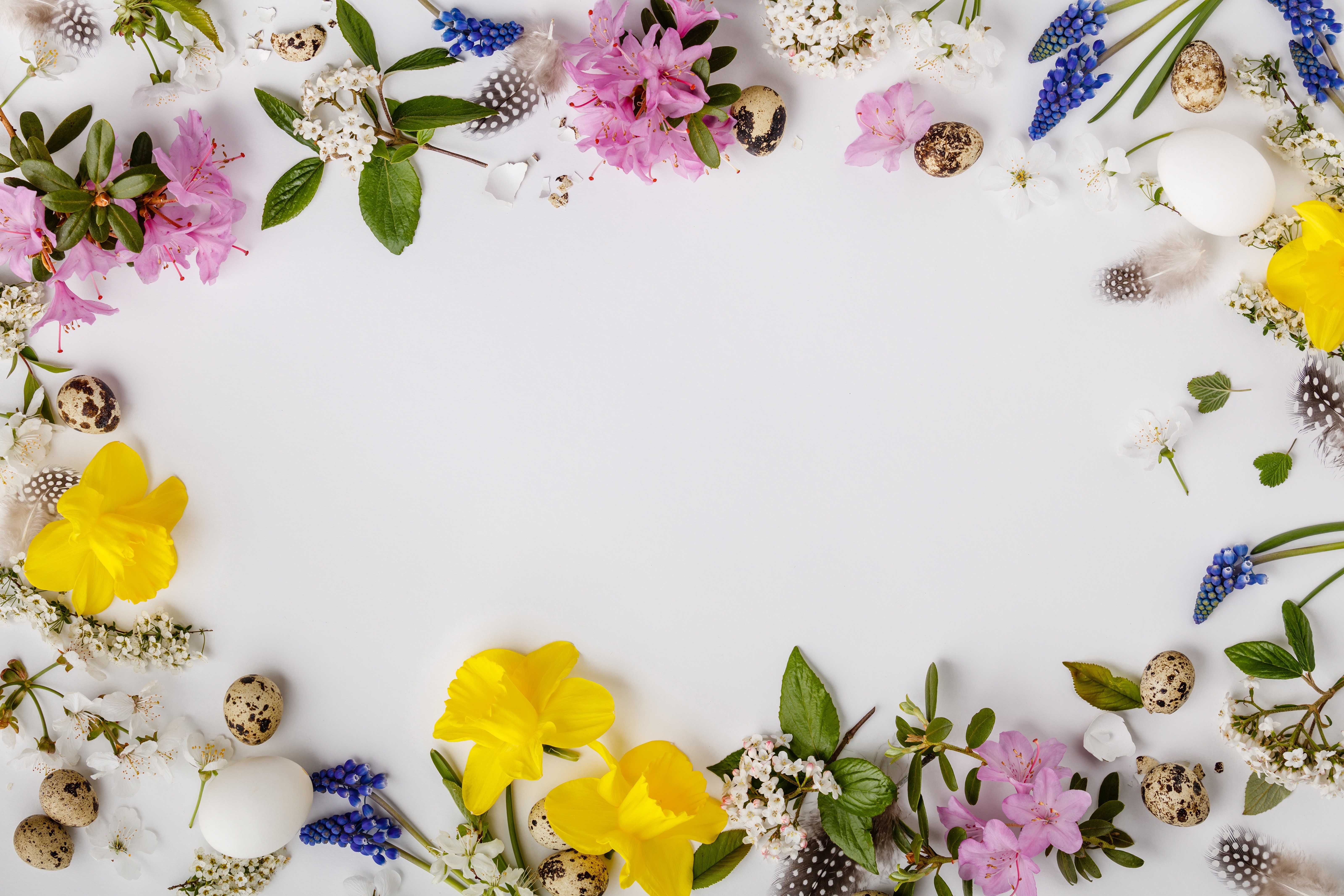 Easter Holiday Greeting Card Template with Flowers and Eggs HD Wallpaper
