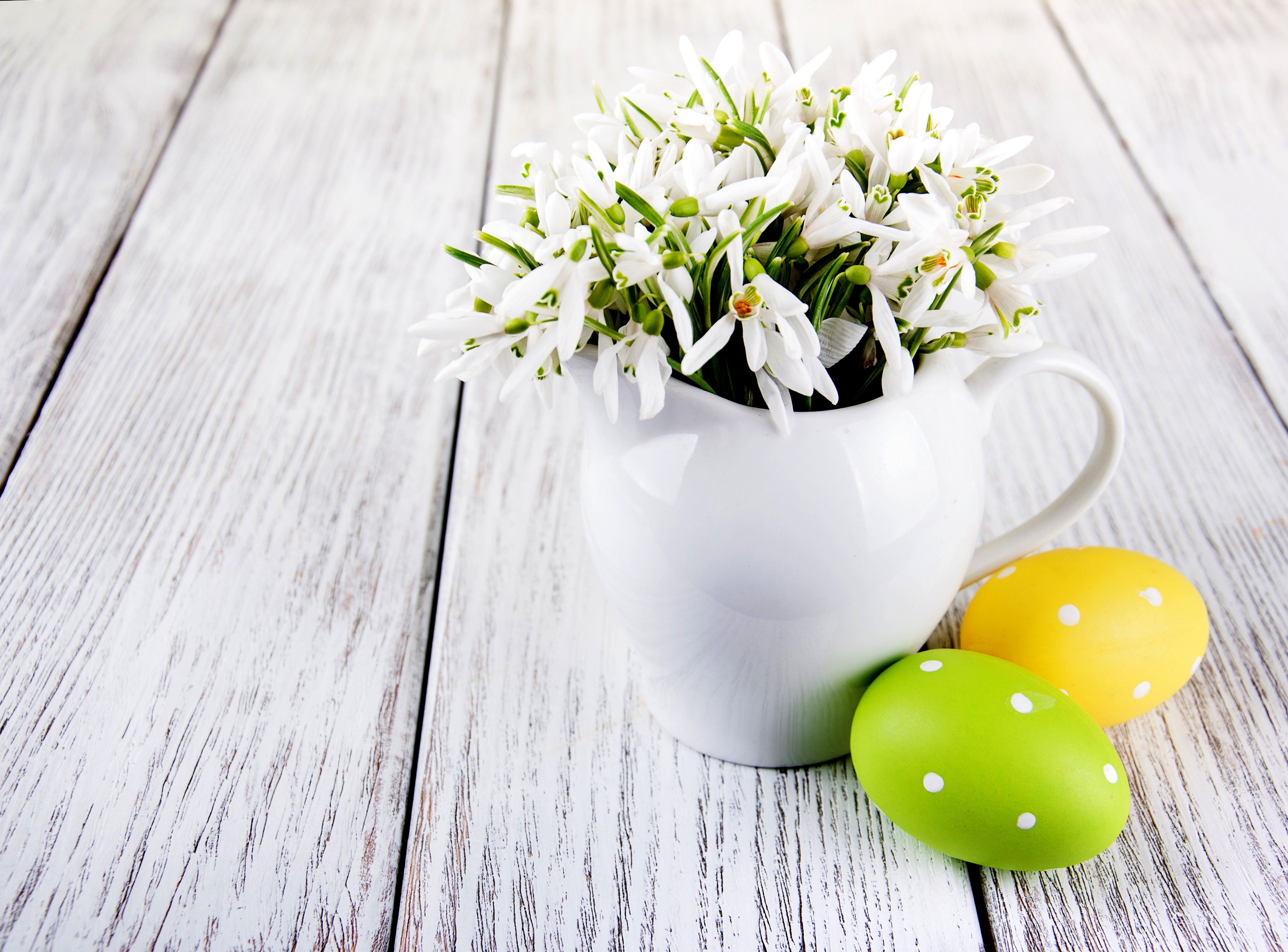 Easter snowdrops in a vase with decorated eggs HD Wallpaper