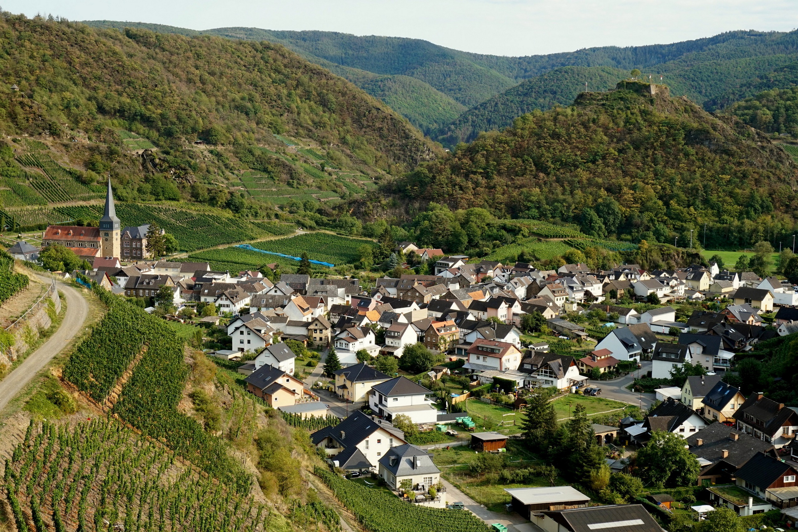Village nestled in a vineyard valley with castle ruins HD Wallpaper