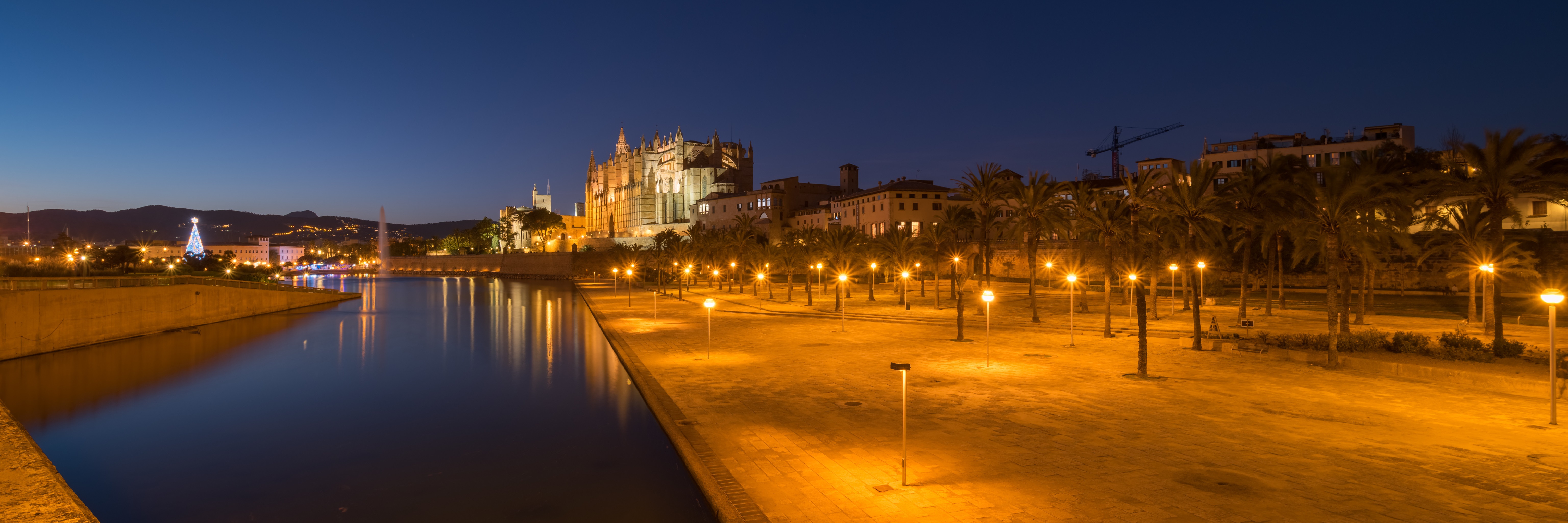 Palma Cathedral and waterfront at night, Spain HD Wallpaper