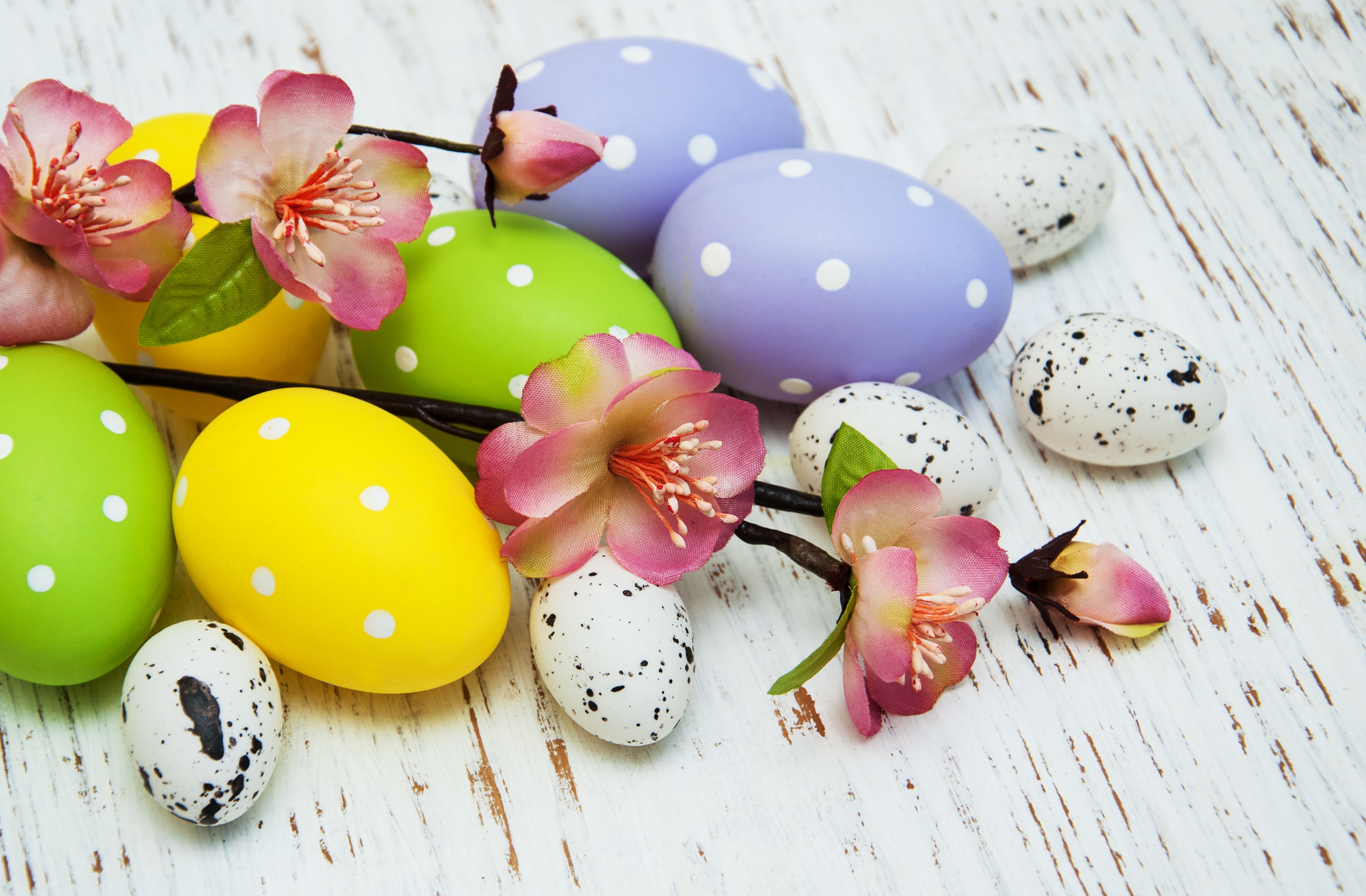 Easter Eggs and Flowers on Wooden Background HD Wallpaper