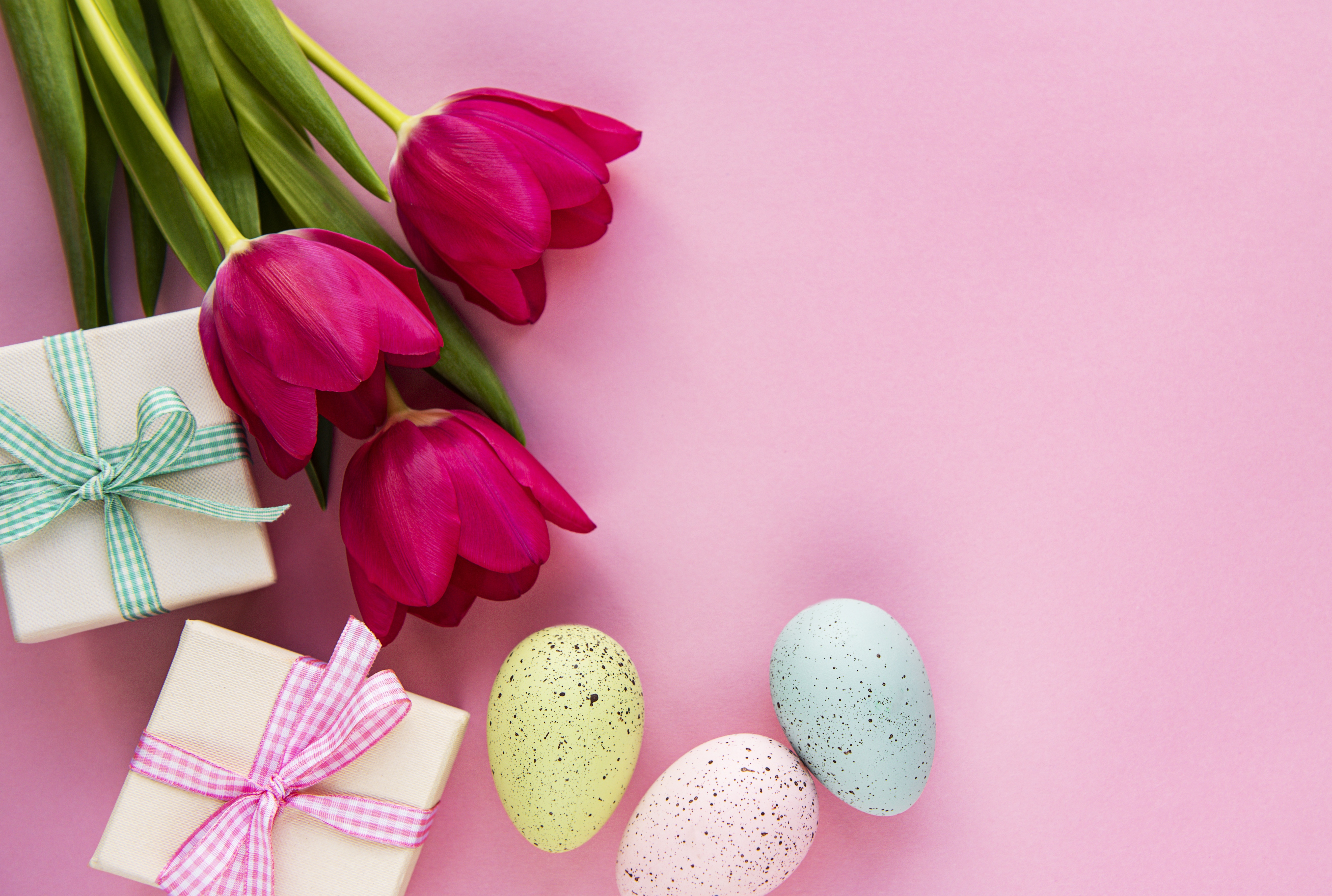 Easter Tulips and Gifts with Eggs HD Wallpaper