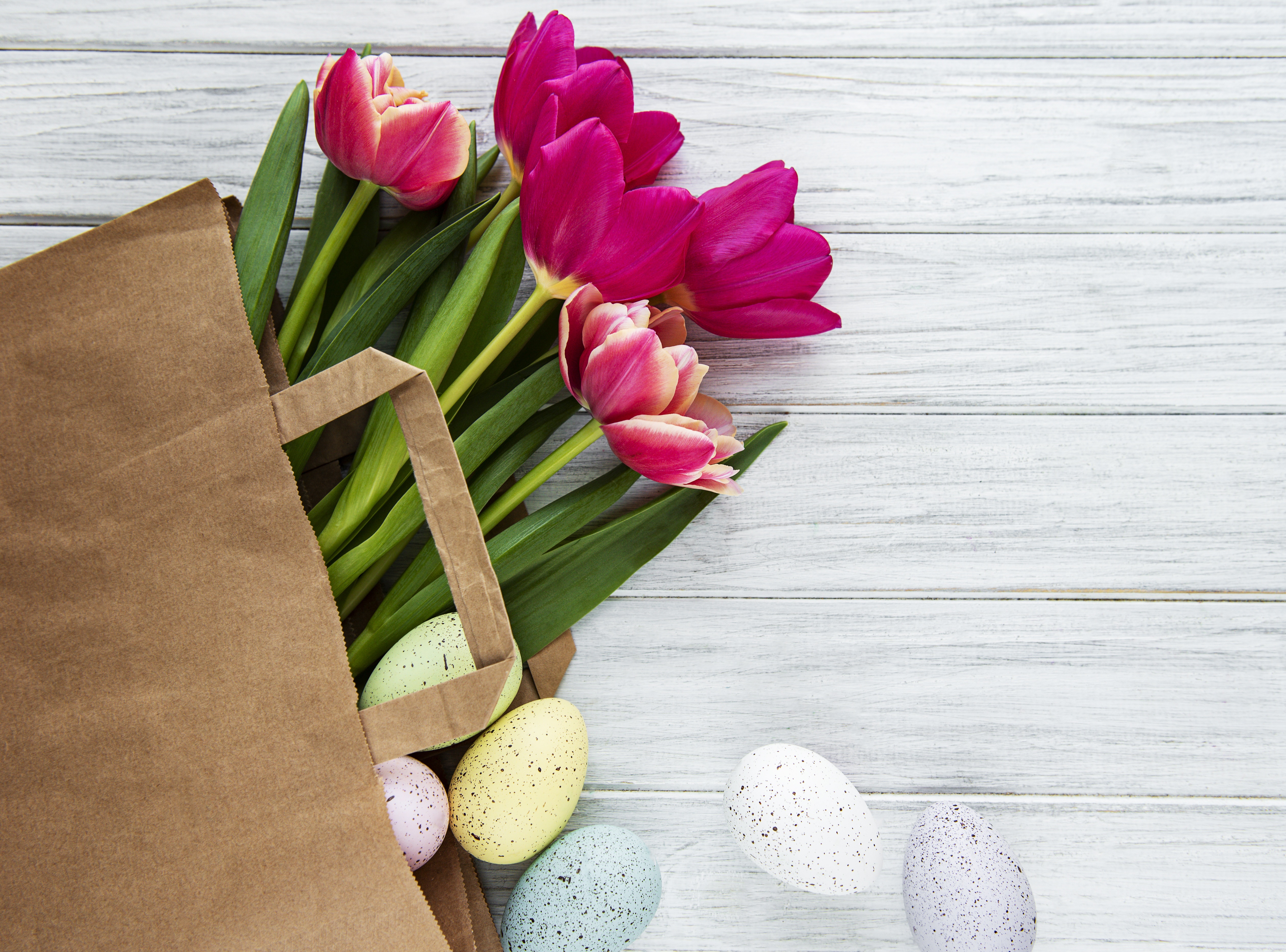 Easter Tulips and Eggs in Paper Bag HD Wallpaper