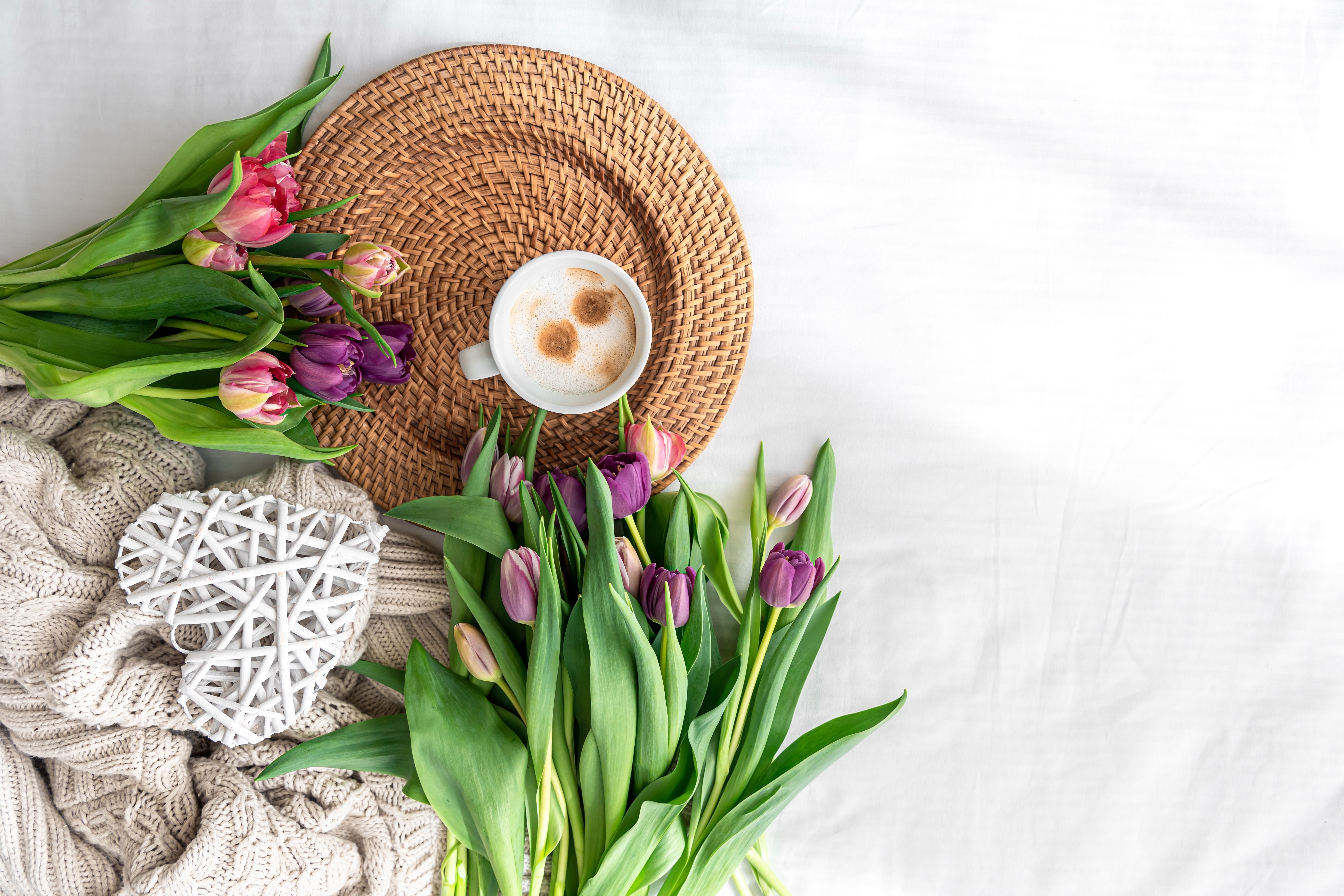 Coffee cup with tulips and blanket HD Wallpaper