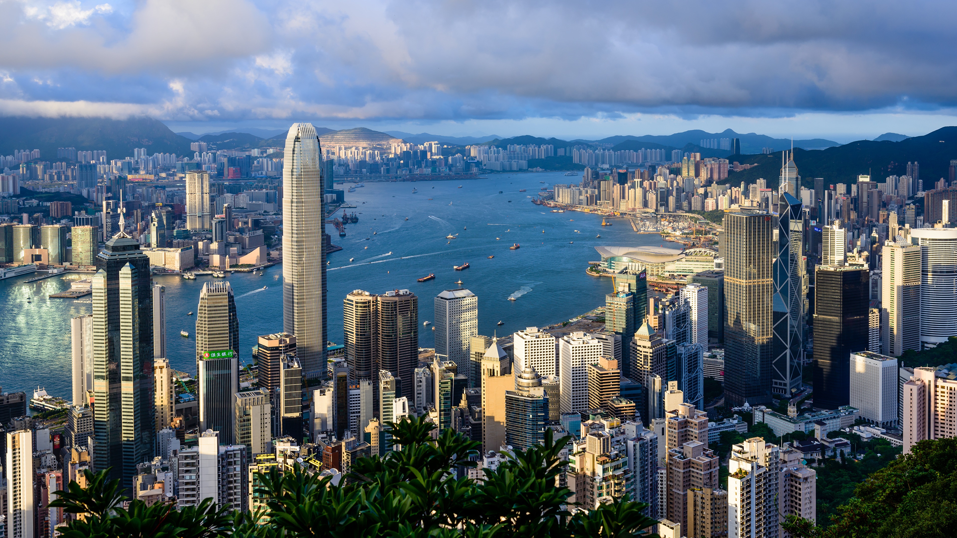 4K Hong Kong Skyscrapers and Bay HD Wallpaper
