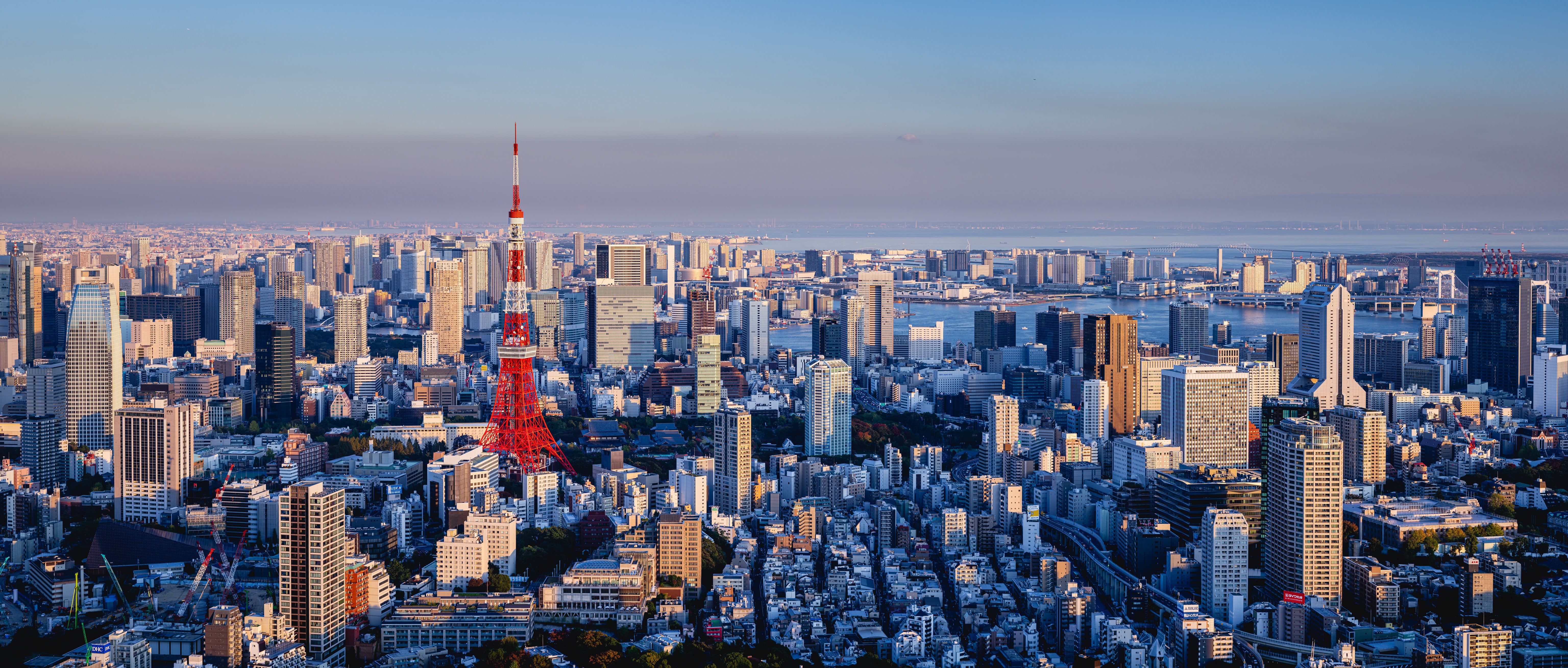 Tokyo cityscape with Tokyo Tower HD Wallpaper