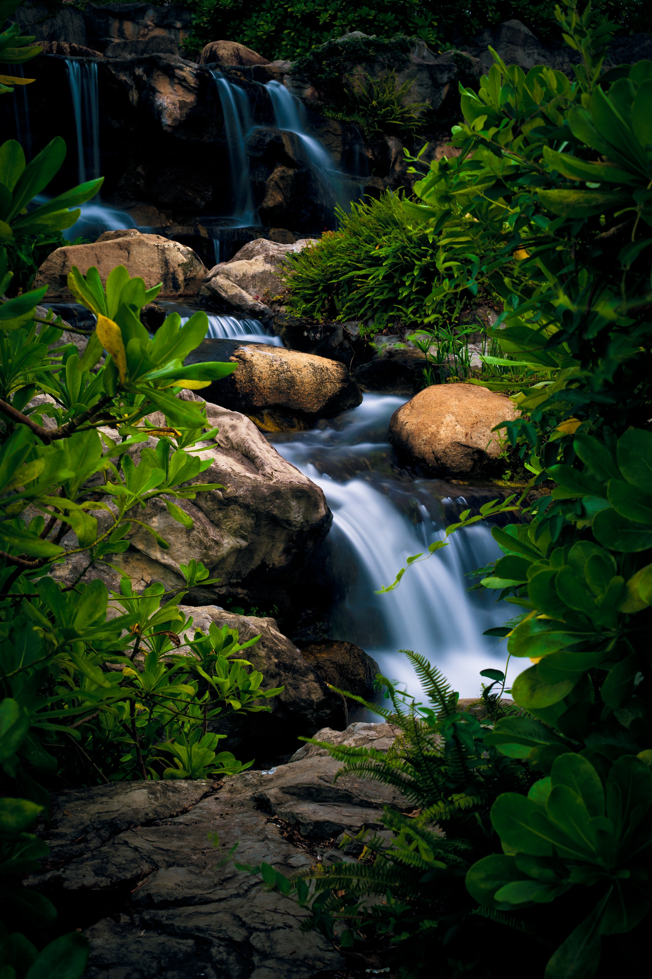 Waterfall cascading over rocks surrounded by lush greenery HD Phone Wallpaper