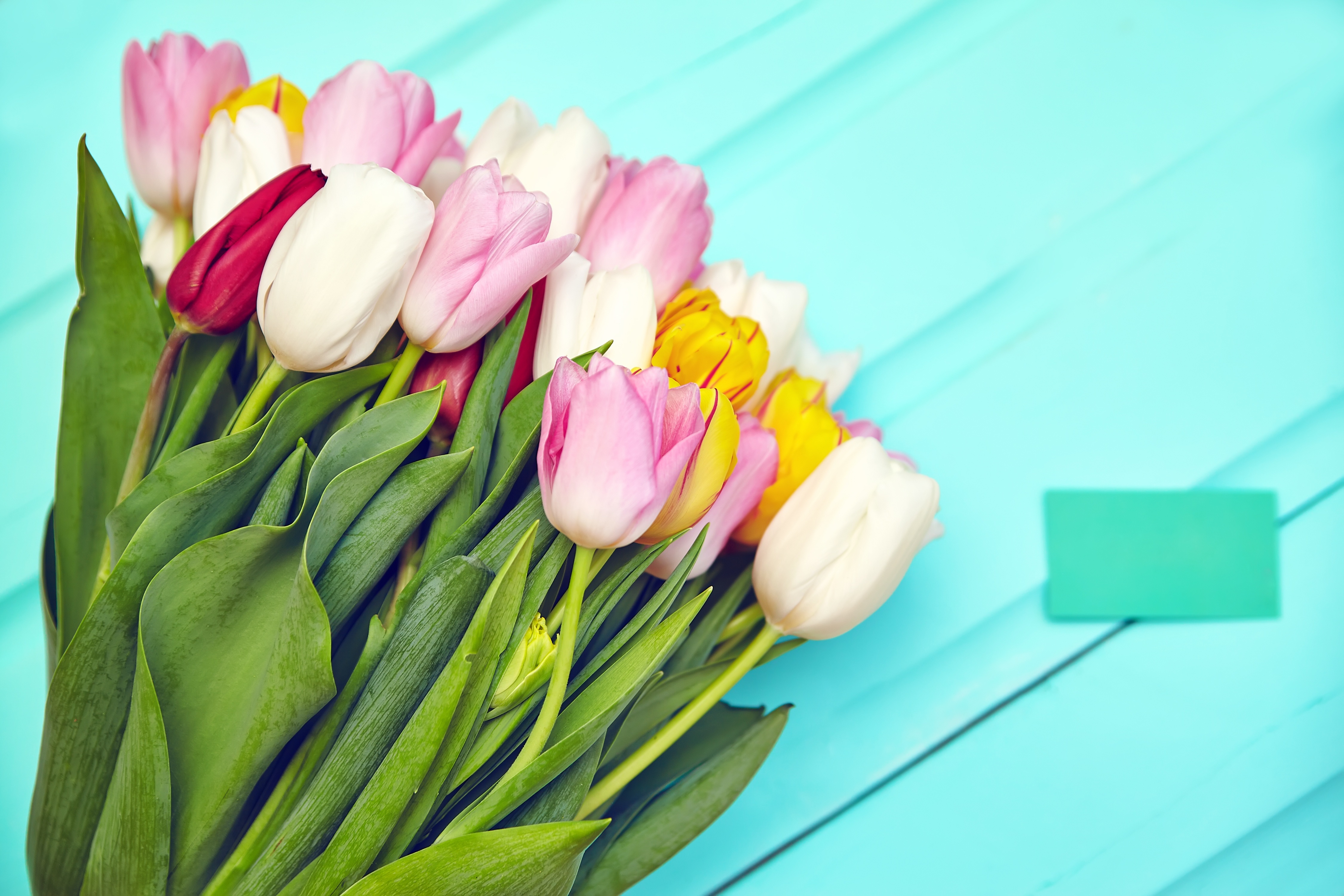 Bouquet of Tulips on a Blue Wooden Surface HD Wallpaper