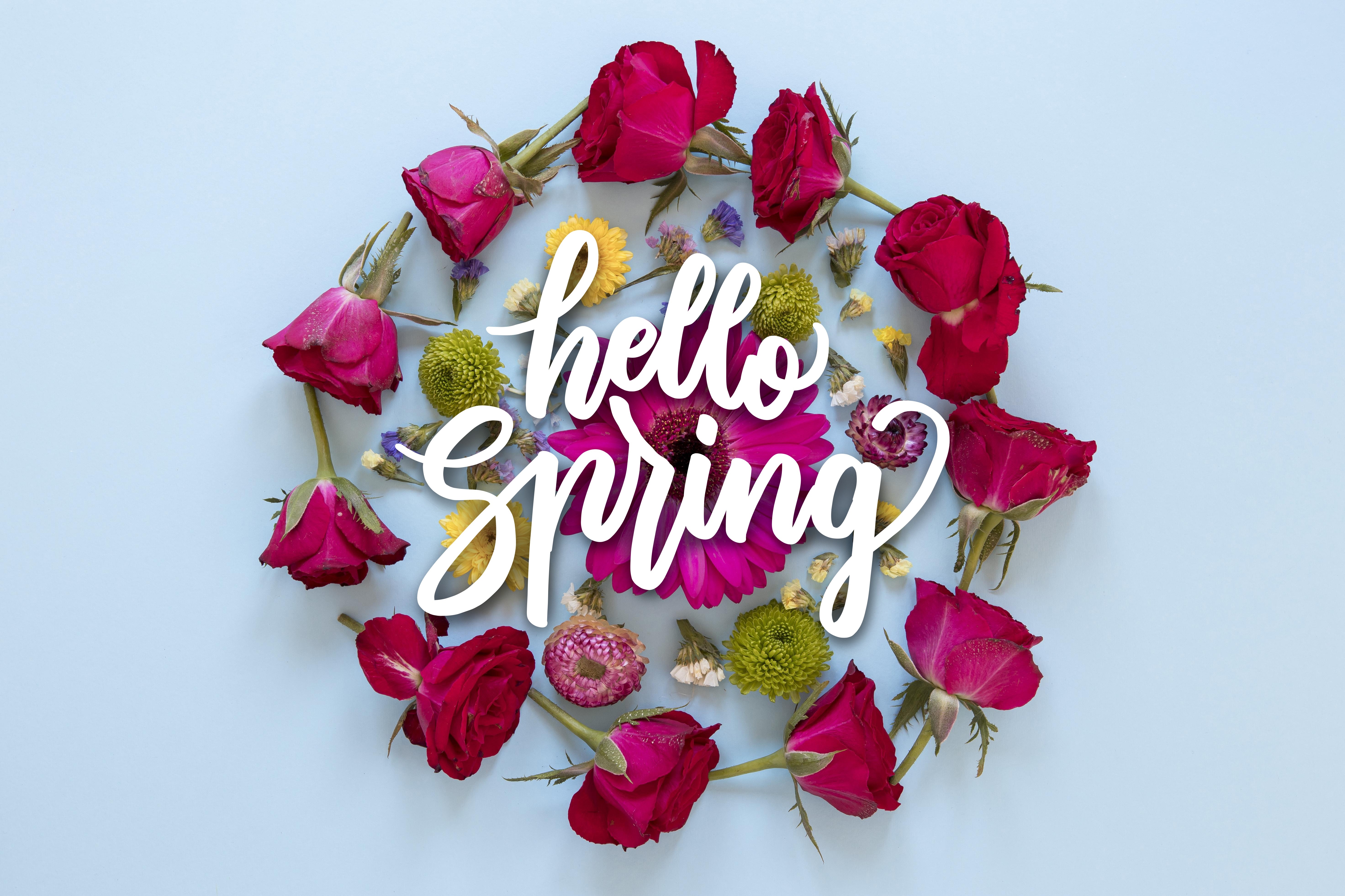 Hello Spring lettering with roses and flowers HD Wallpaper