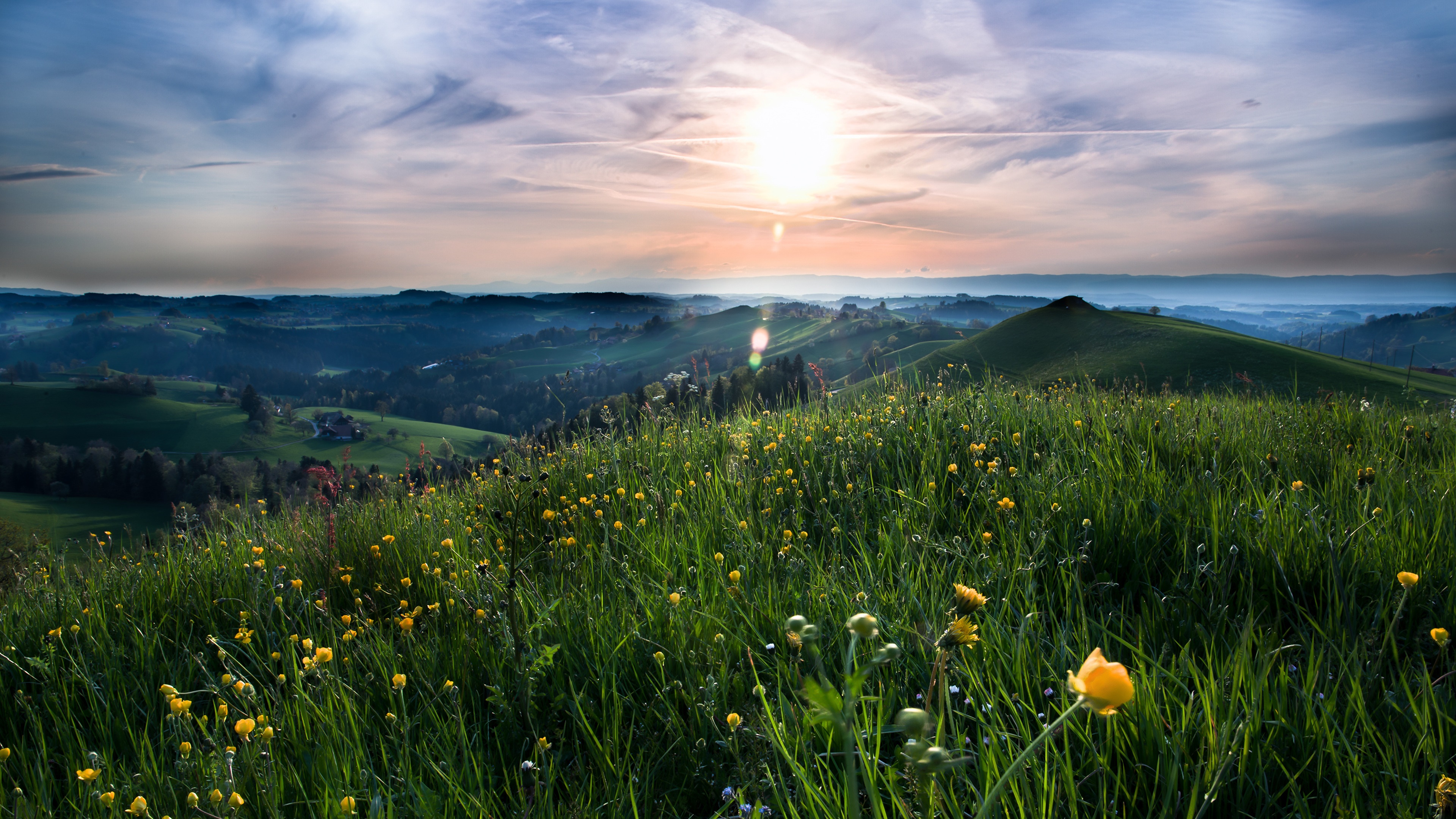 4K Hillside with Sun and Flowers HD Wallpaper