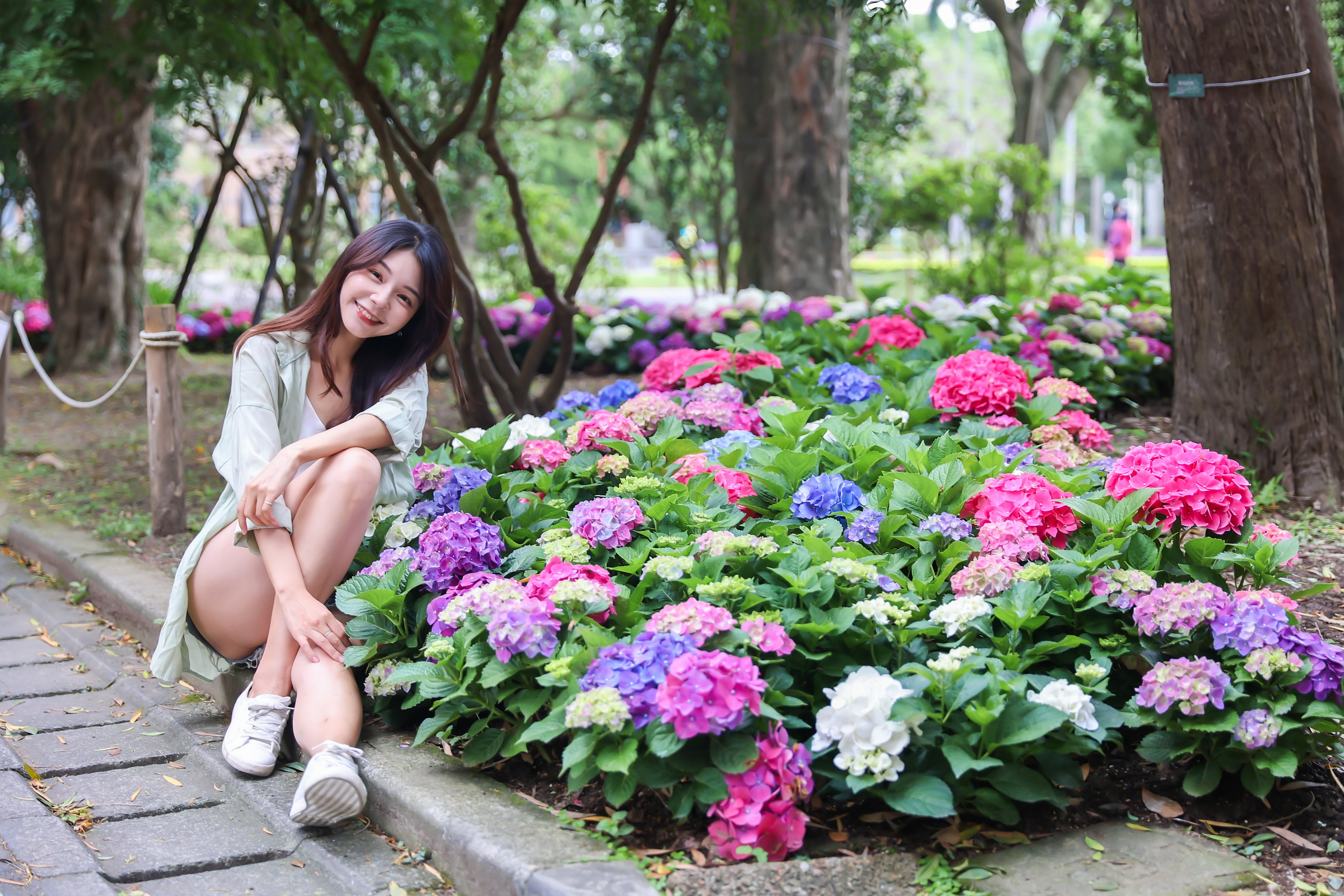 Asian woman sitting by hydrangeas HD Wallpaper