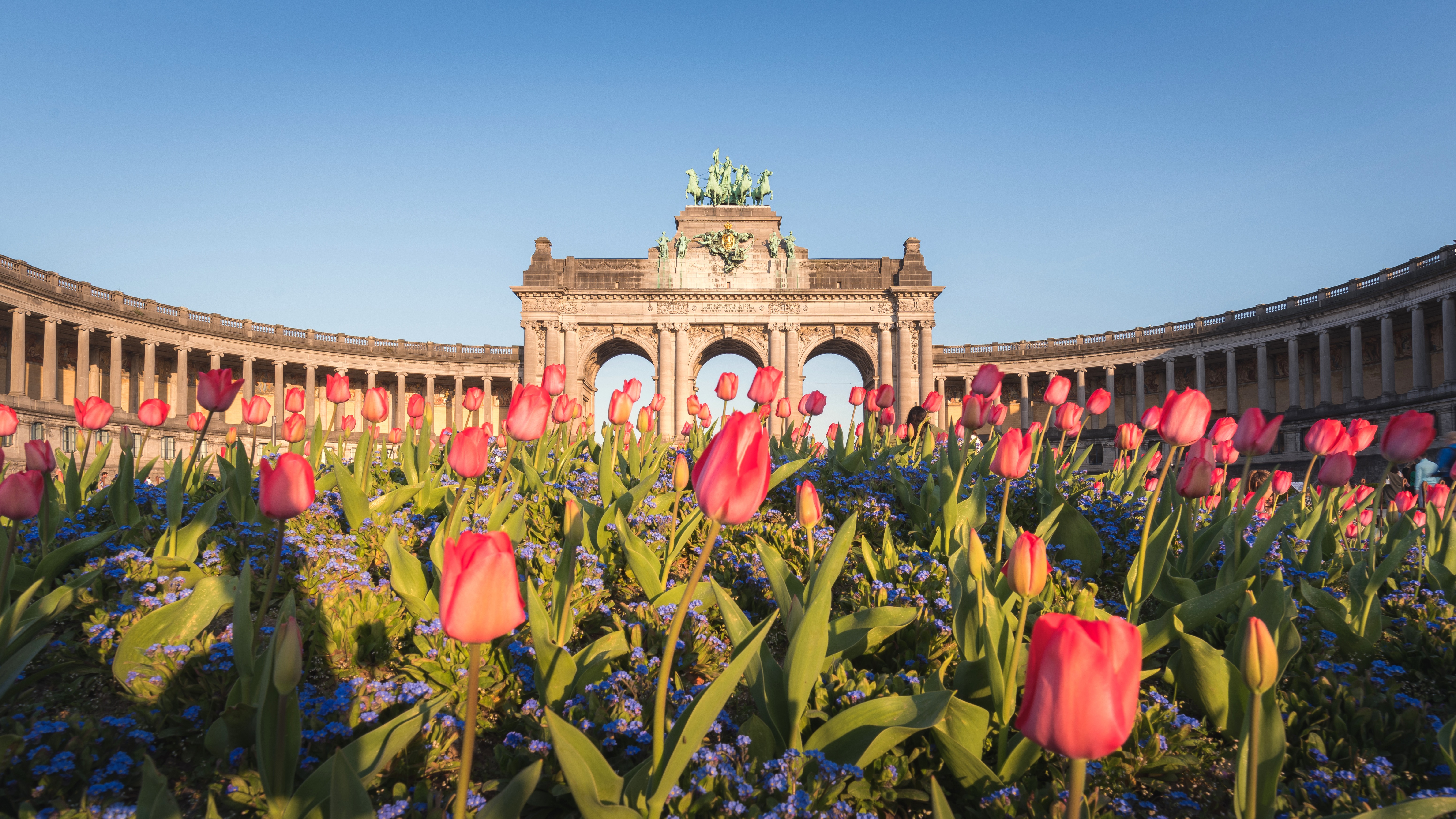 Brussels, Belgium: Tulips in front of the Royal Arch HD Wallpaper