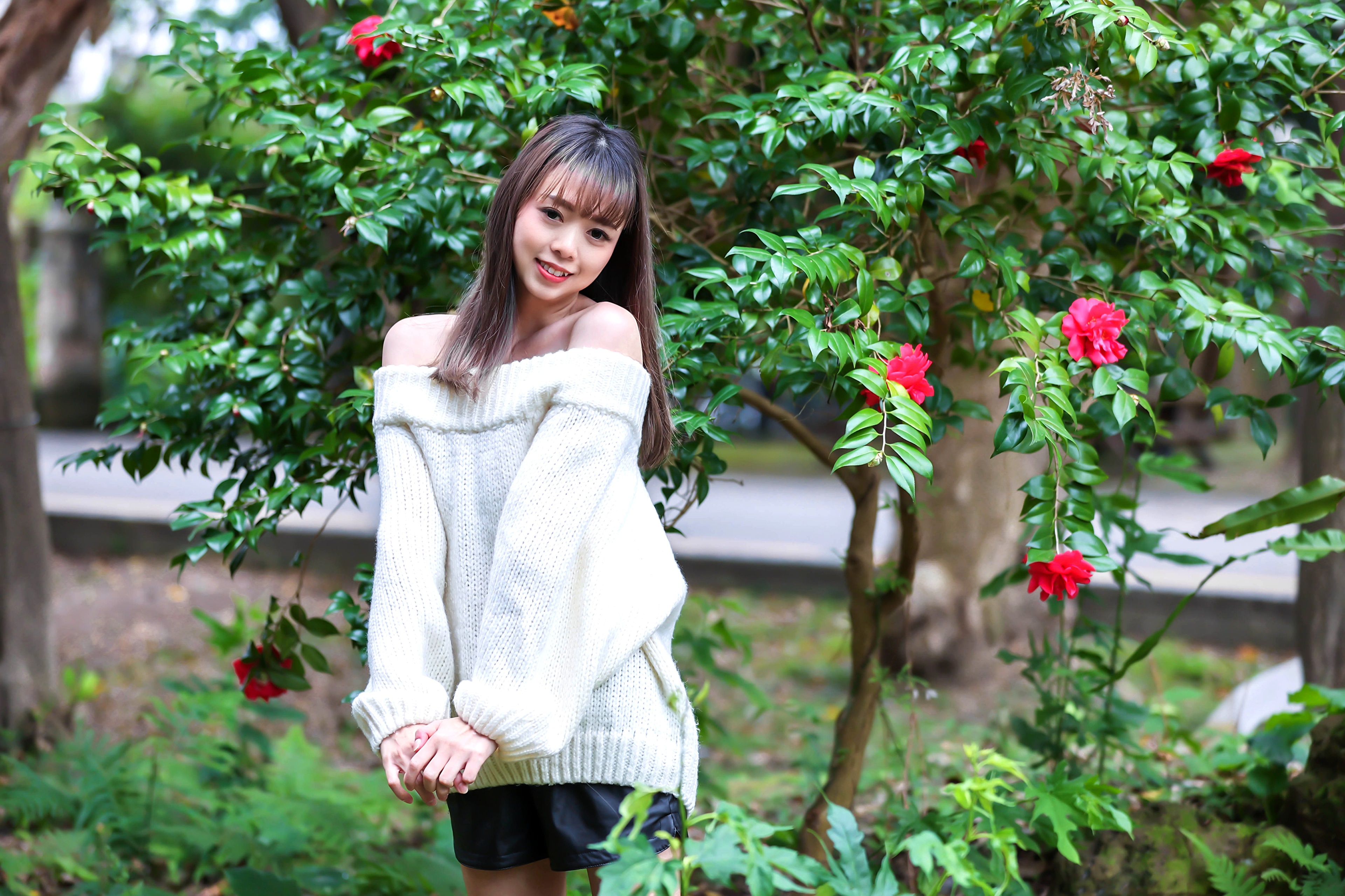 Asian woman in off-shoulder sweater and shorts posing near a tree with red flowers HD Wallpaper