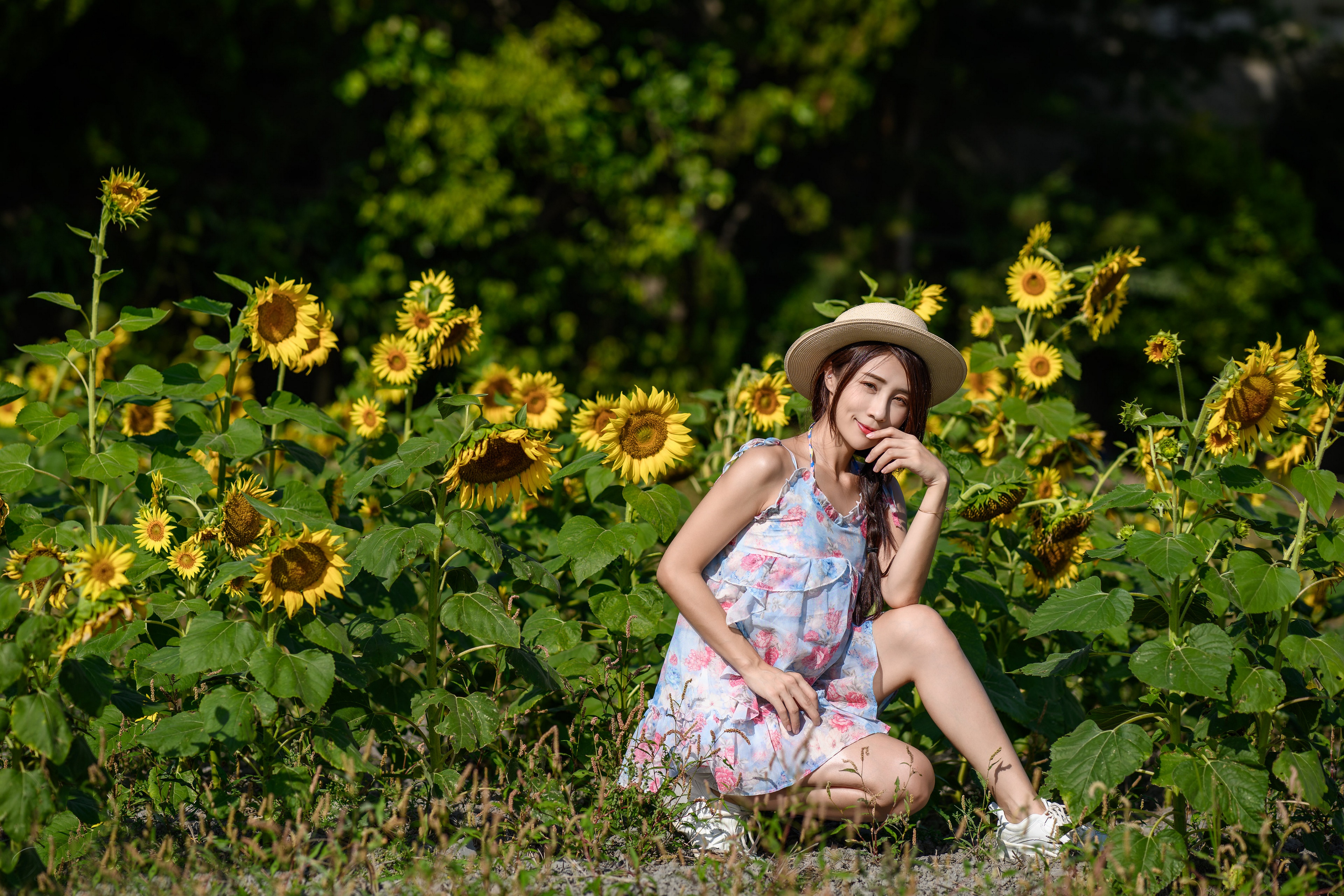 Asian woman in a dress and hat posing in a sunflower field HD Wallpaper