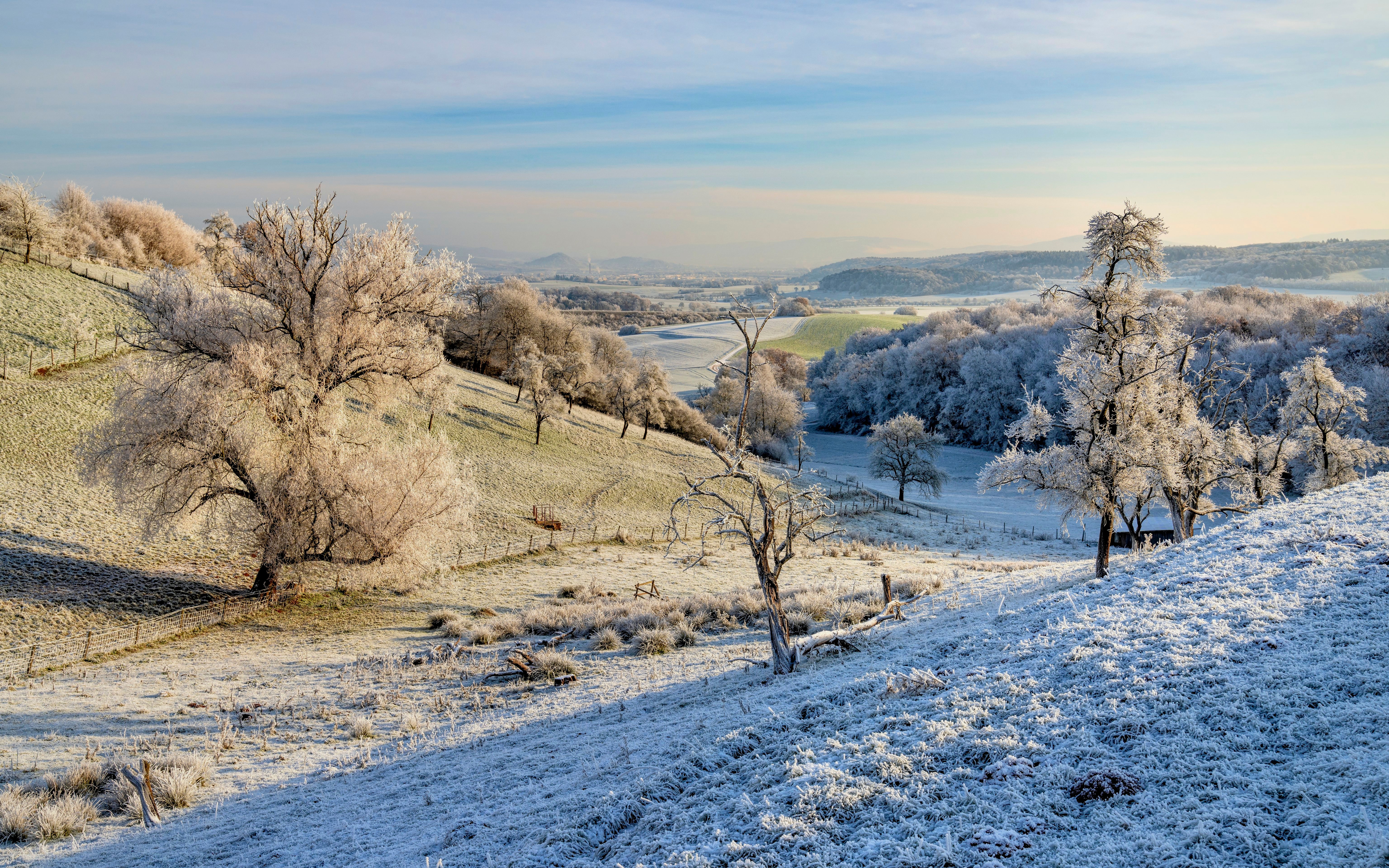 Winter landscape with frost in Bergweiler, Germany HD Wallpaper