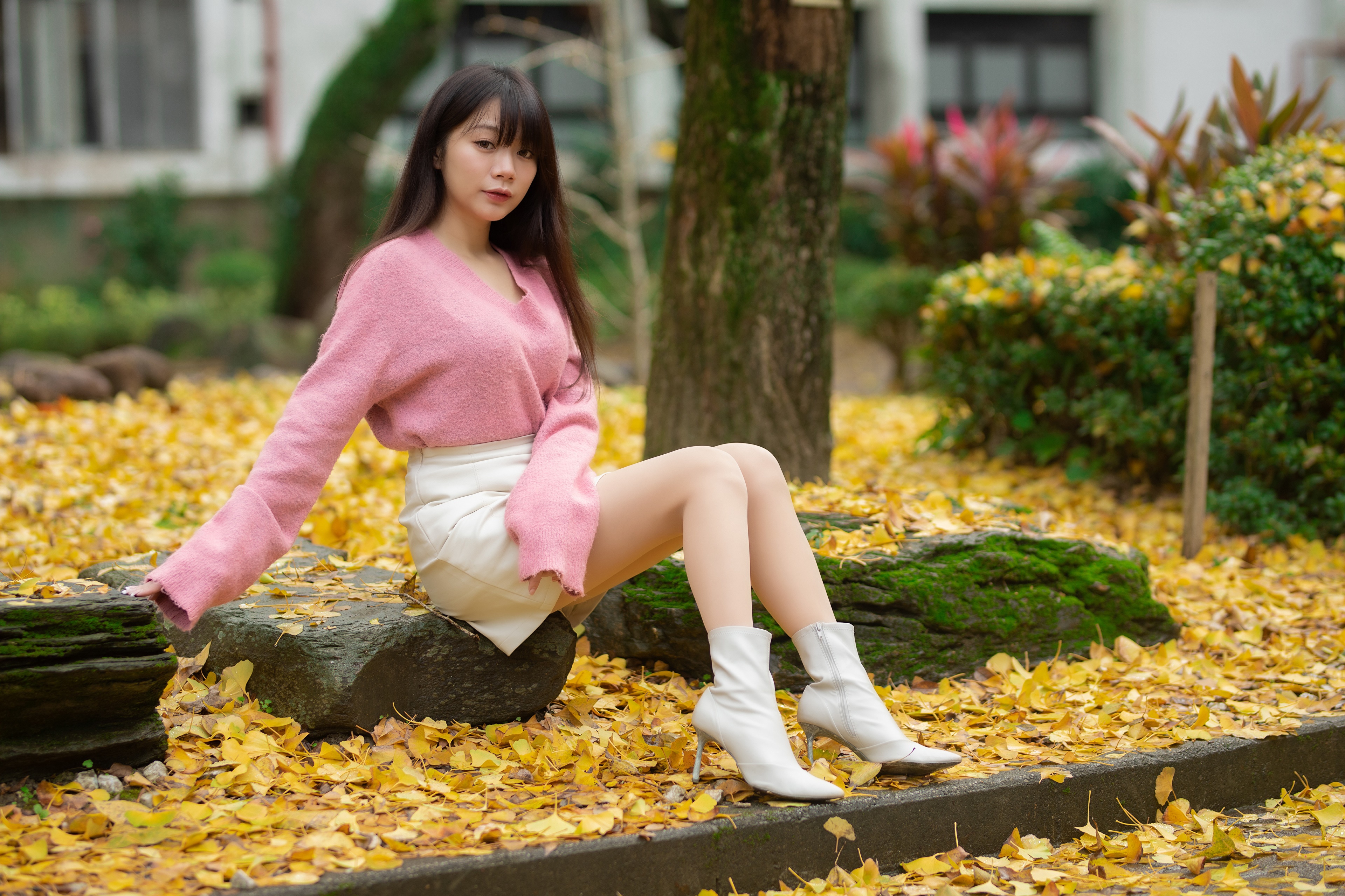 Asian woman in pink sweater and white skirt sitting in autumn foliage HD Wallpaper