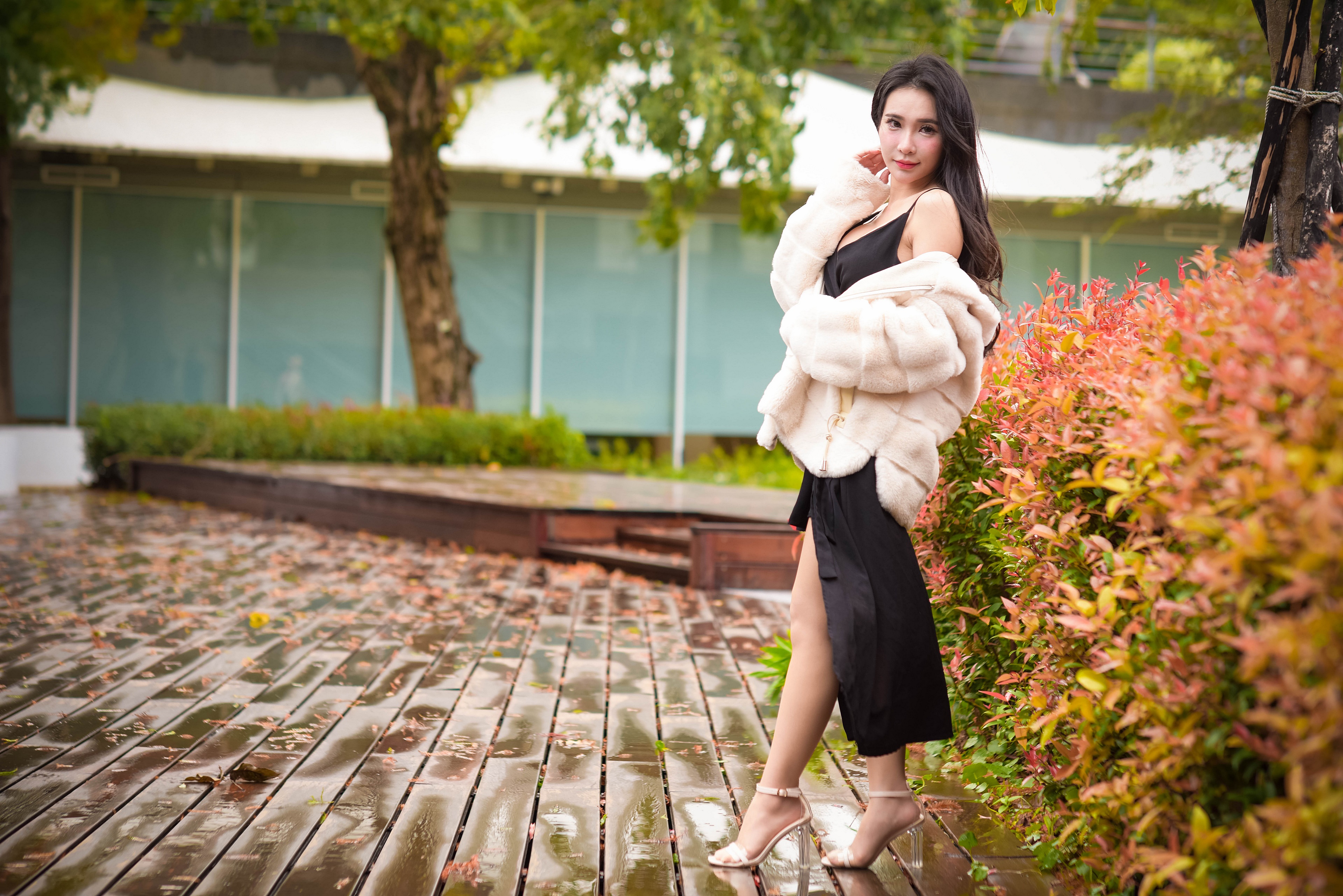 Asian woman in fur coat and dress posing HD Wallpaper
