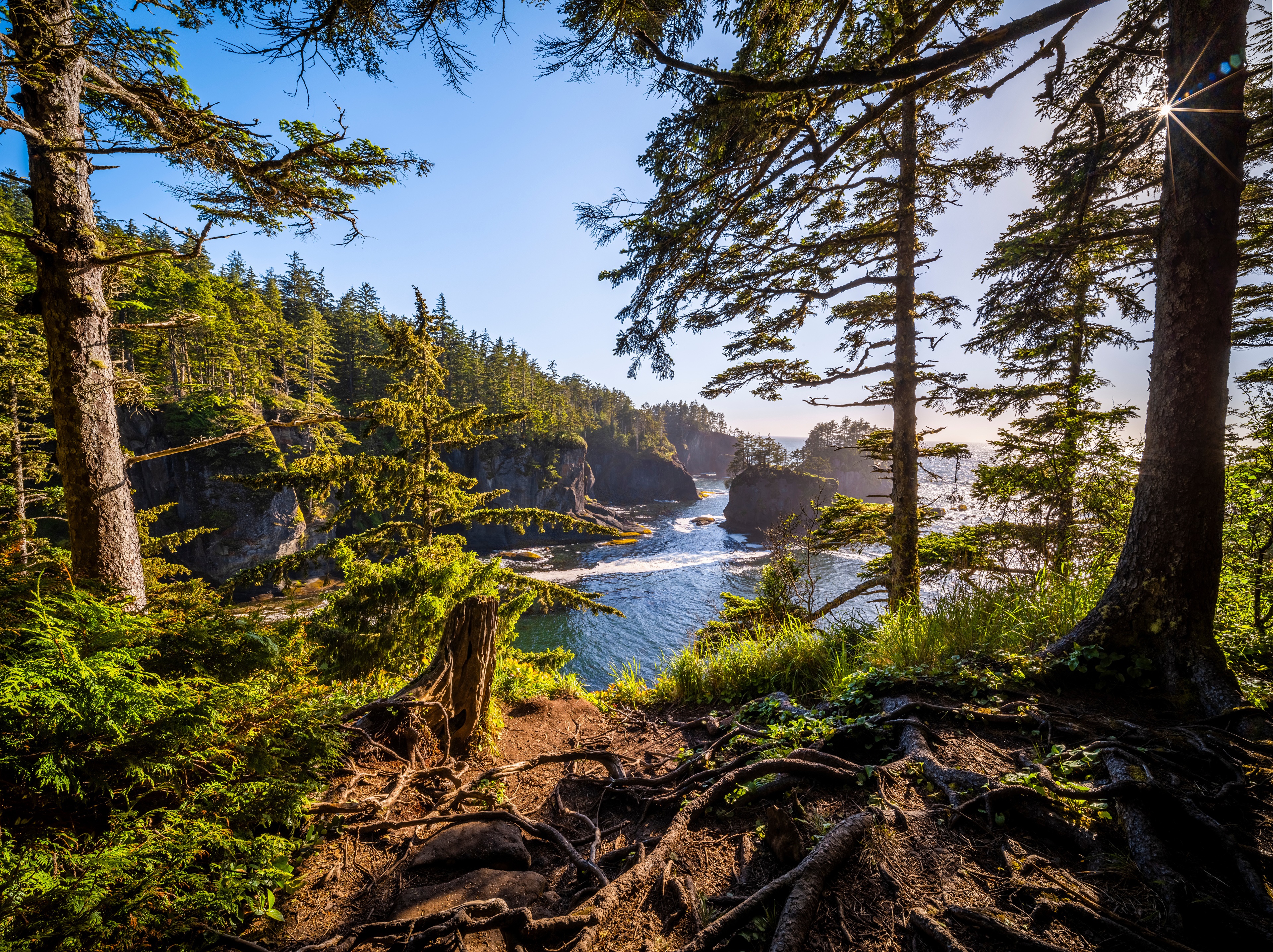 Cape Flattery Coastline with Trees, Washington, USA HD Wallpaper
