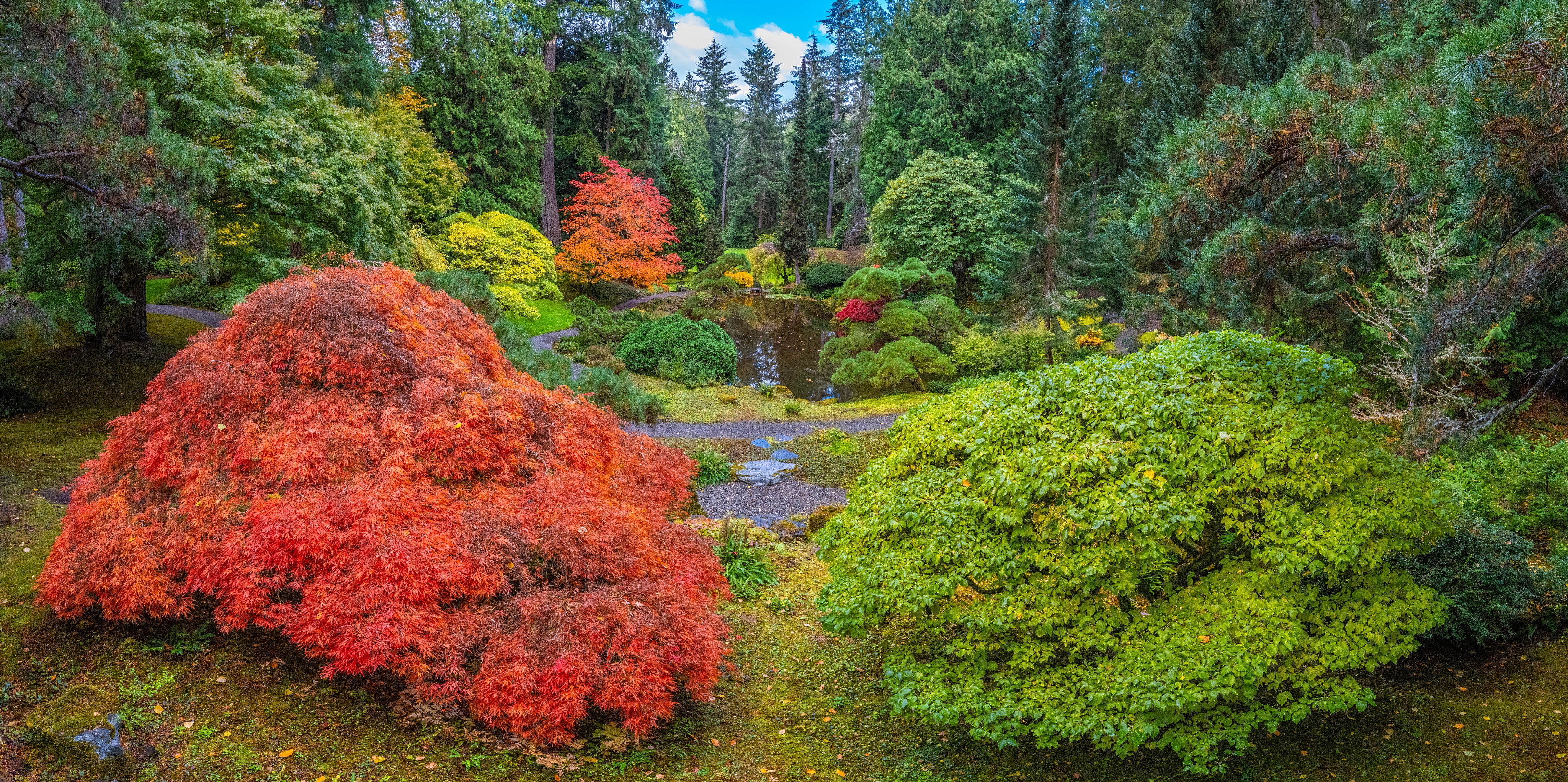 Japanese Garden in Autumn, Washington, USA HD Wallpaper