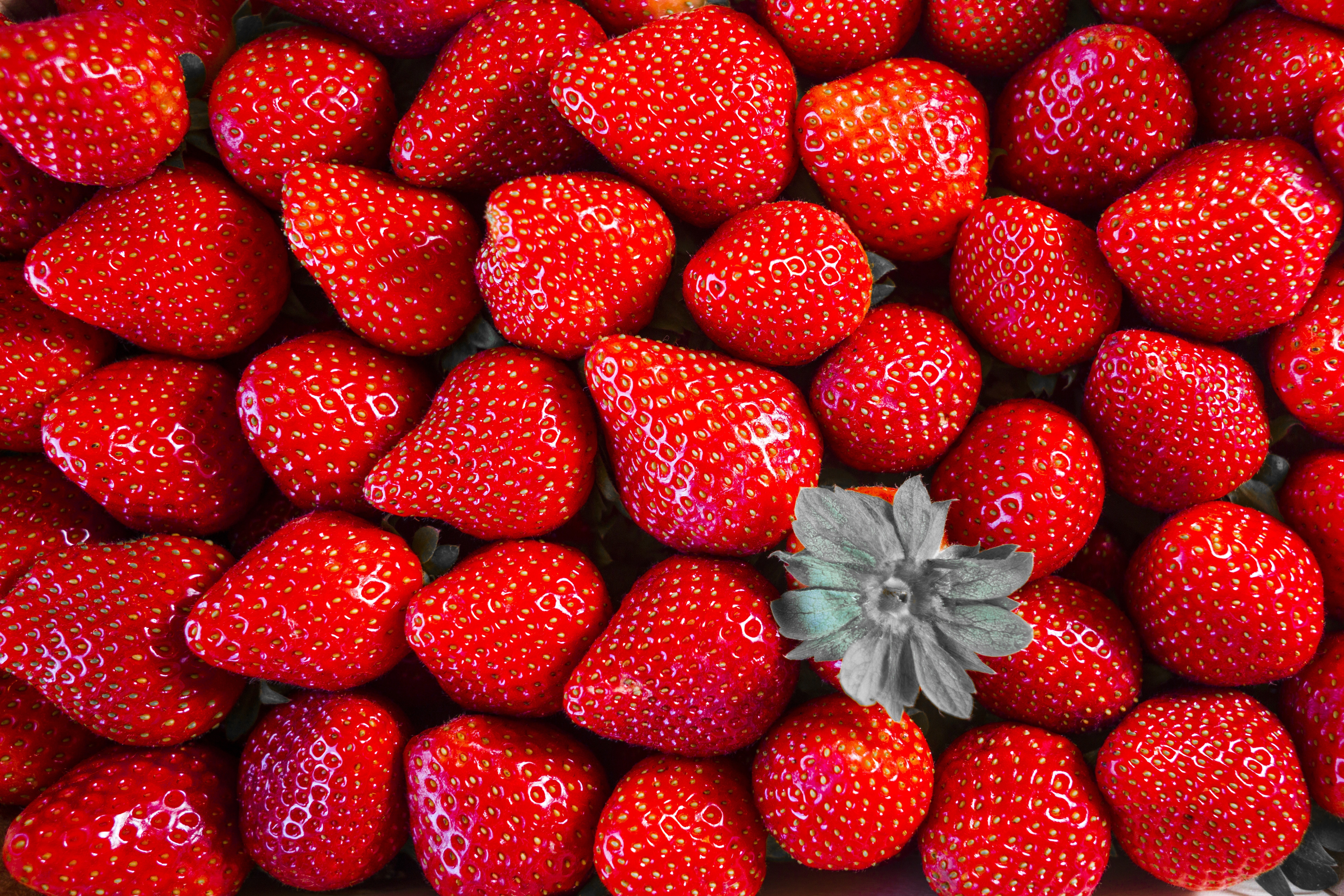 Many Strawberries HD Wallpaper