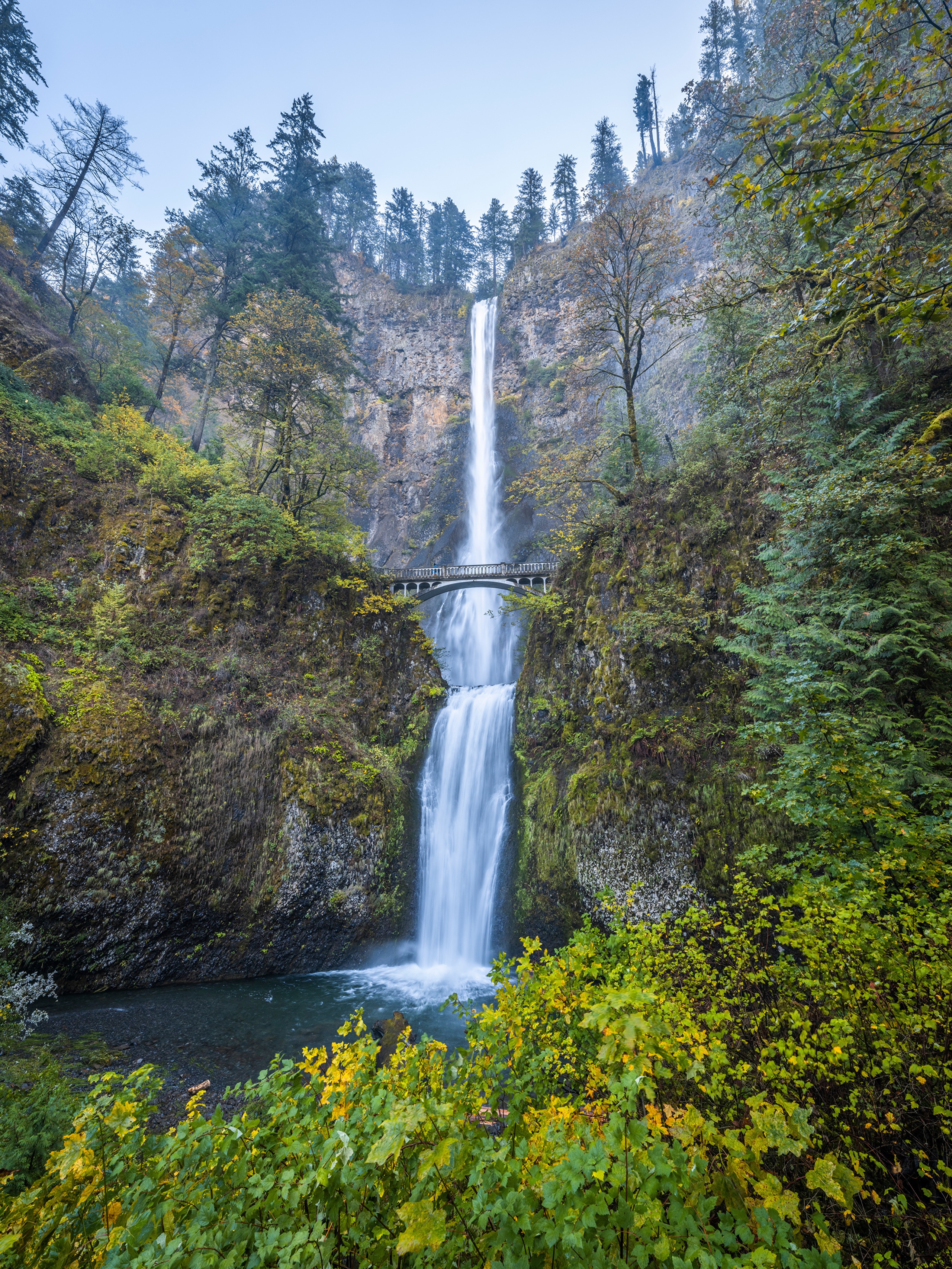 Multnomah Falls in the Columbia River Gorge, Oregon HD Phone Wallpaper