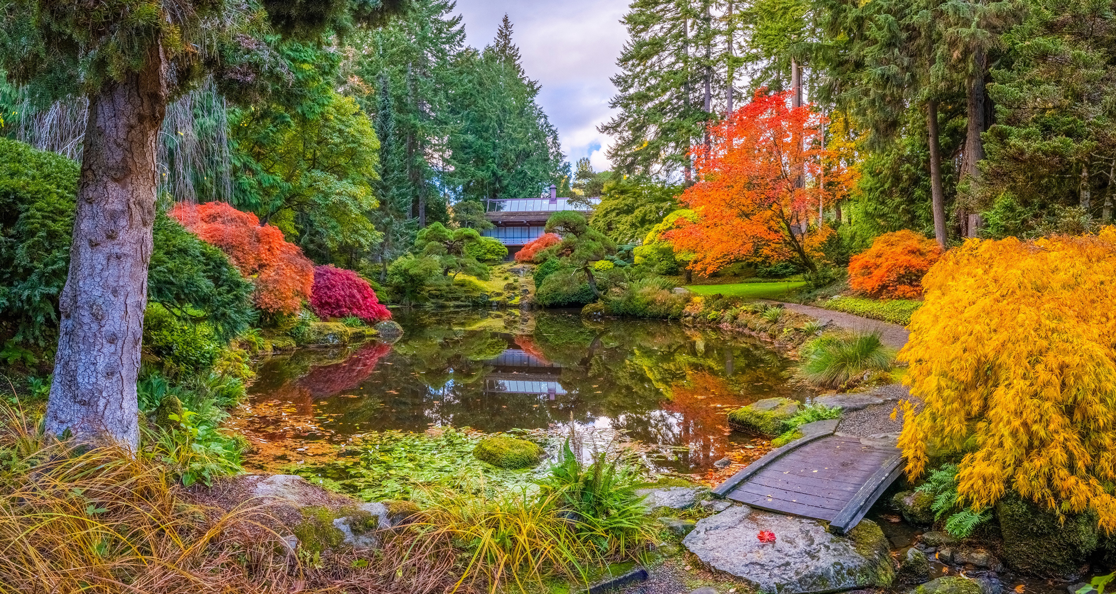Japanese Garden in Autumn with Pond and Trees HD Wallpaper